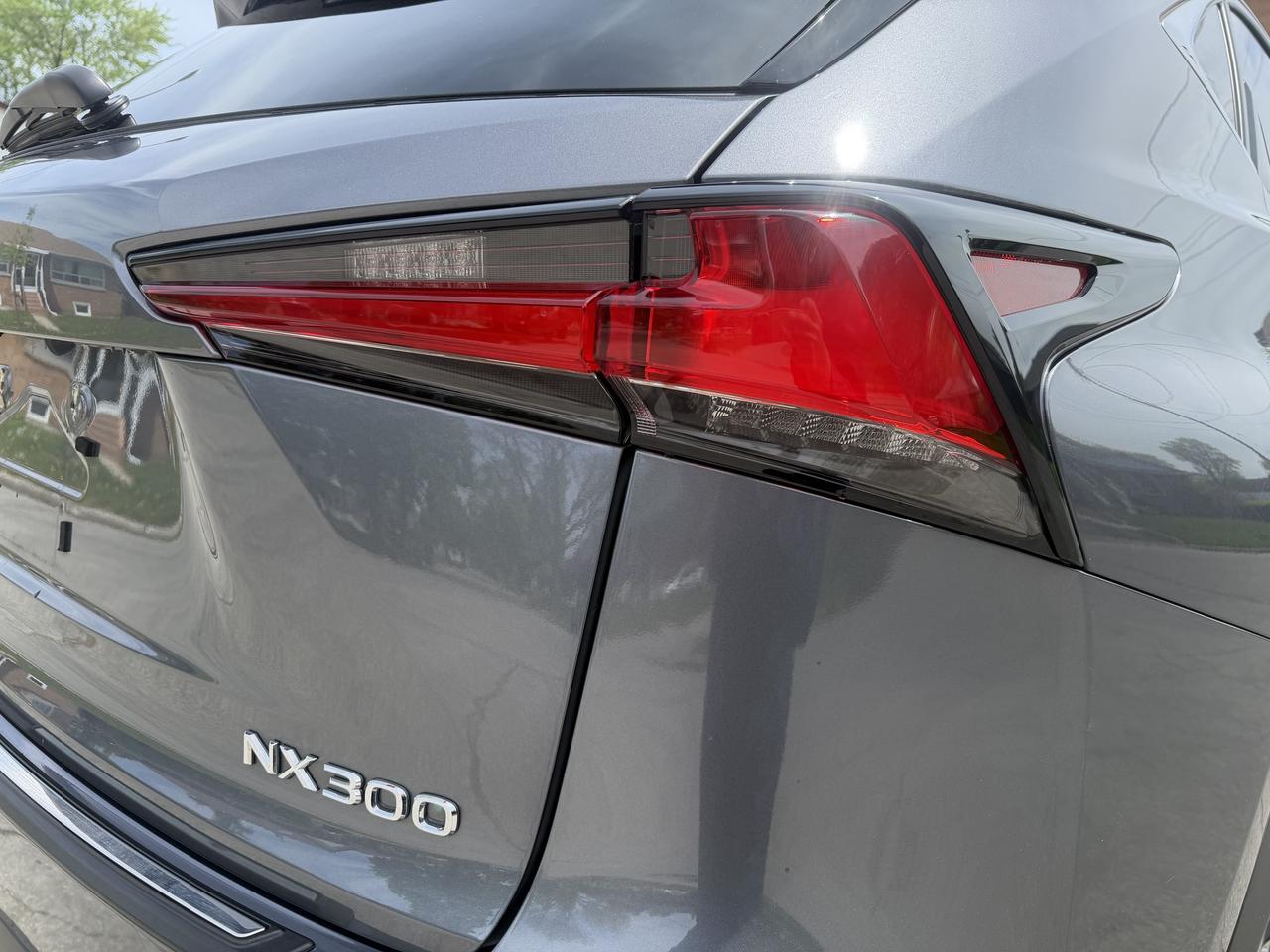 2019 Lexus NX NX 300 Auto Photo