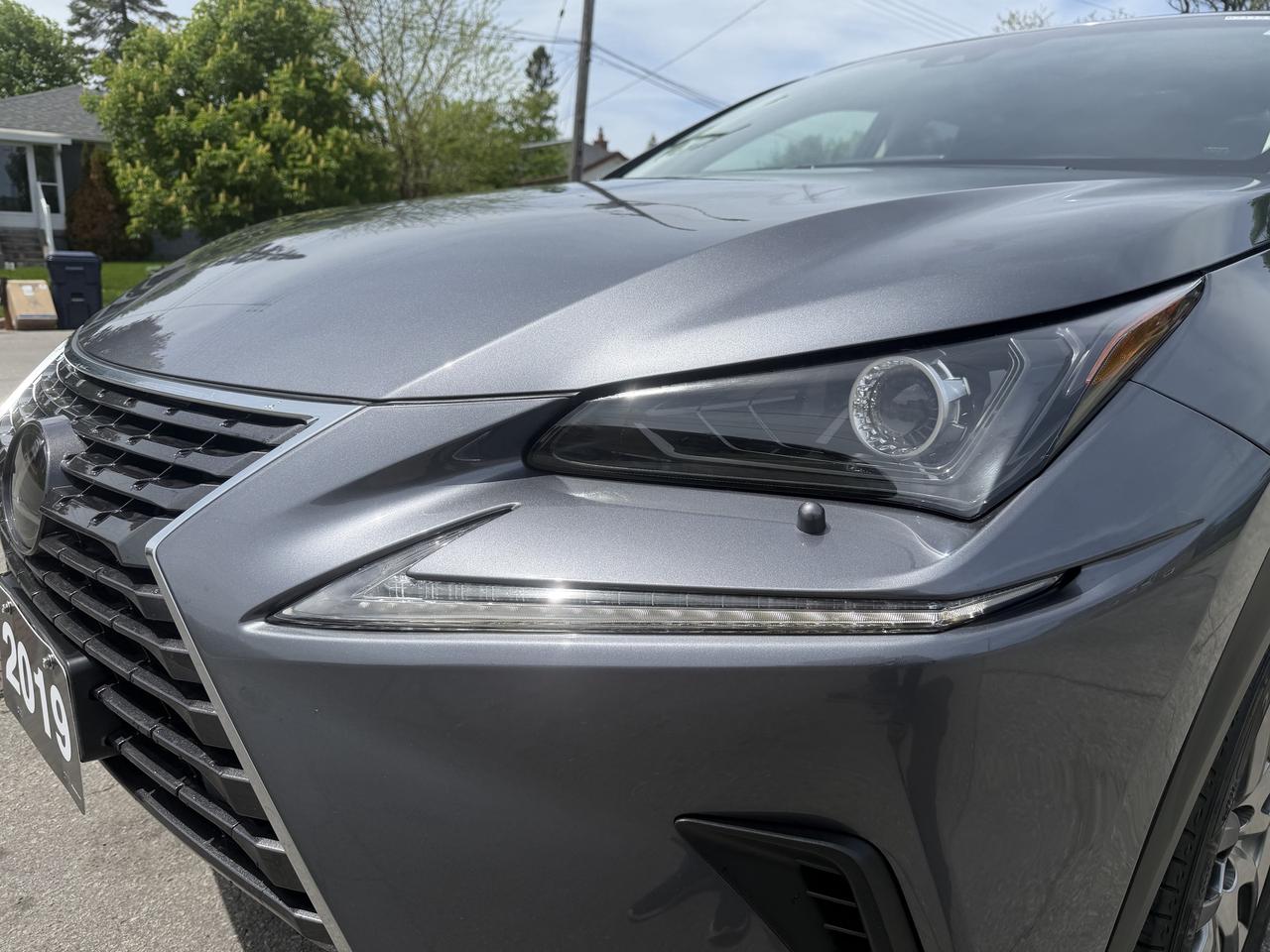 2019 Lexus NX NX 300 Auto Photo