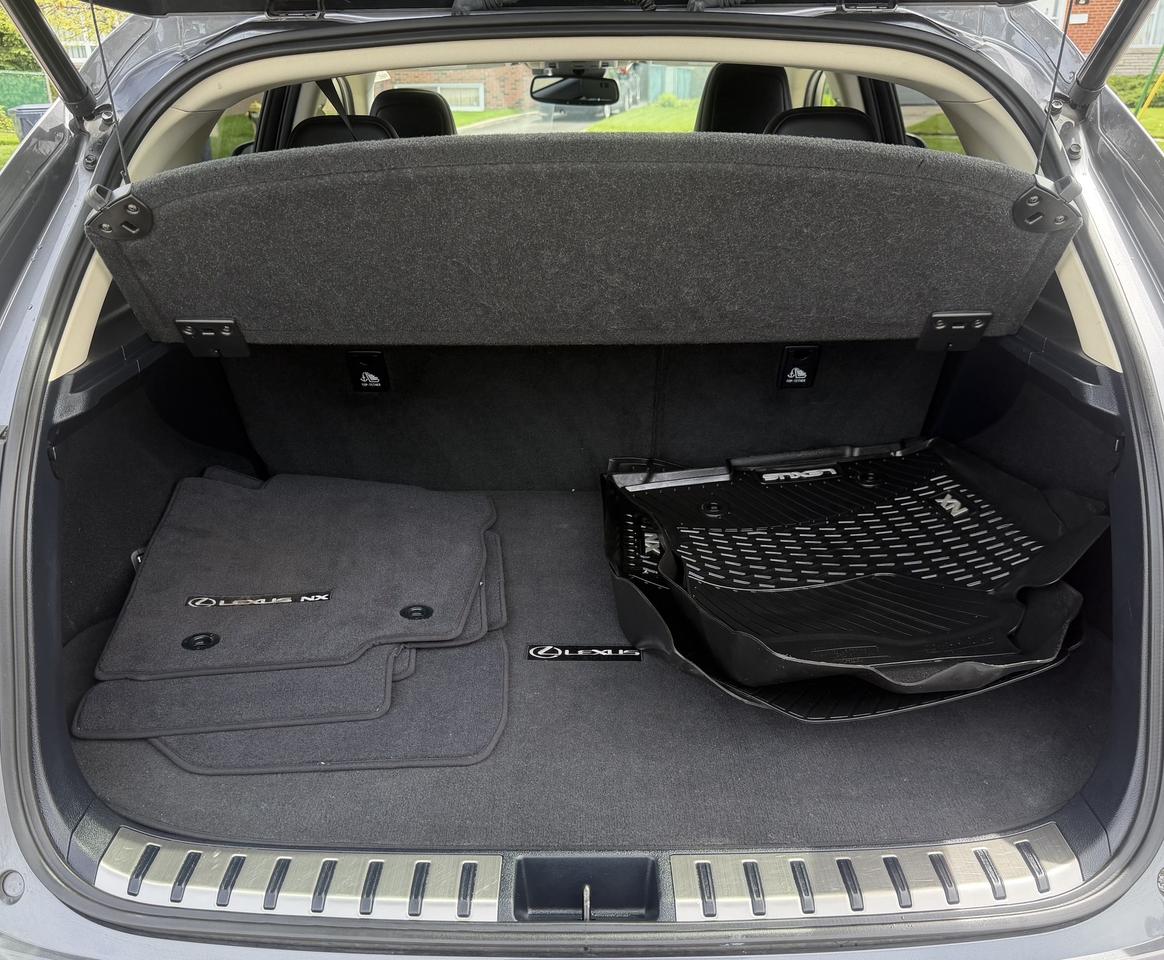 2019 Lexus NX NX 300 Auto Photo