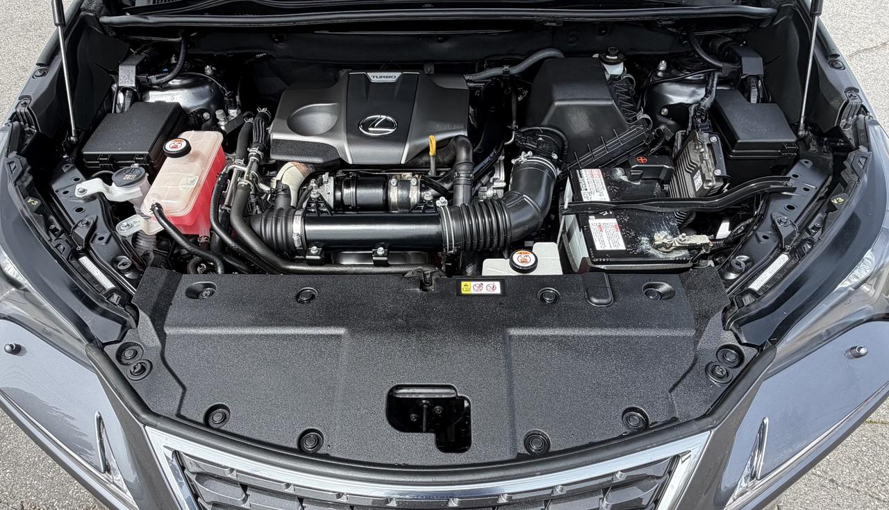 2019 Lexus NX NX 300 Auto Photo