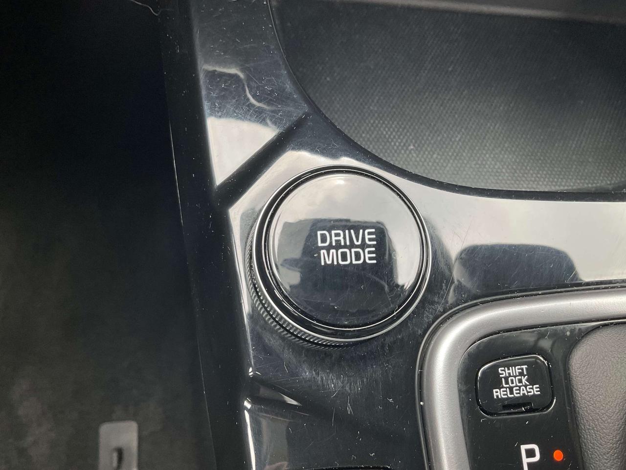 2024 Kia Seltos LEATHER / HEATED SEATS / SUNROOF Photo