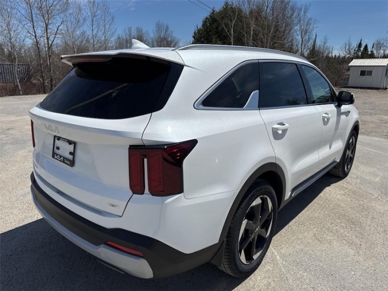 2026 Kia Sorento Hybrid EX  6 Passenger - $338 B/W Photo