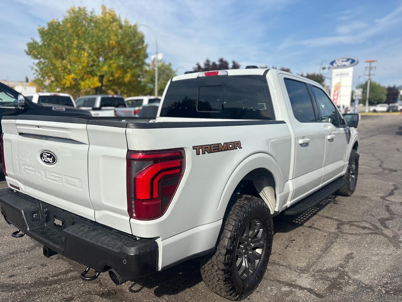 2026 Ford F-150 Tremor Photo4