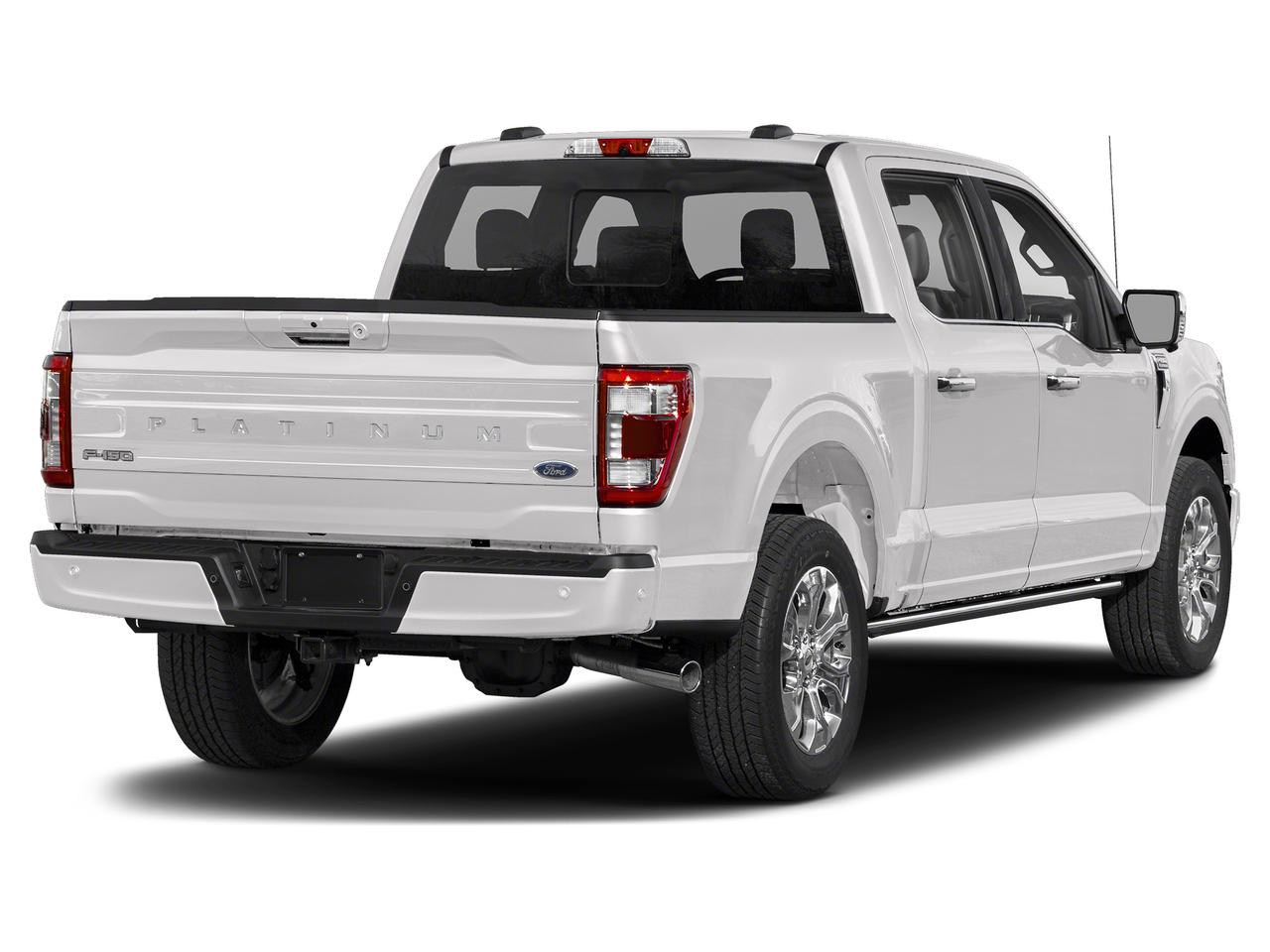 2022 Ford F-150 Platinum Photo1