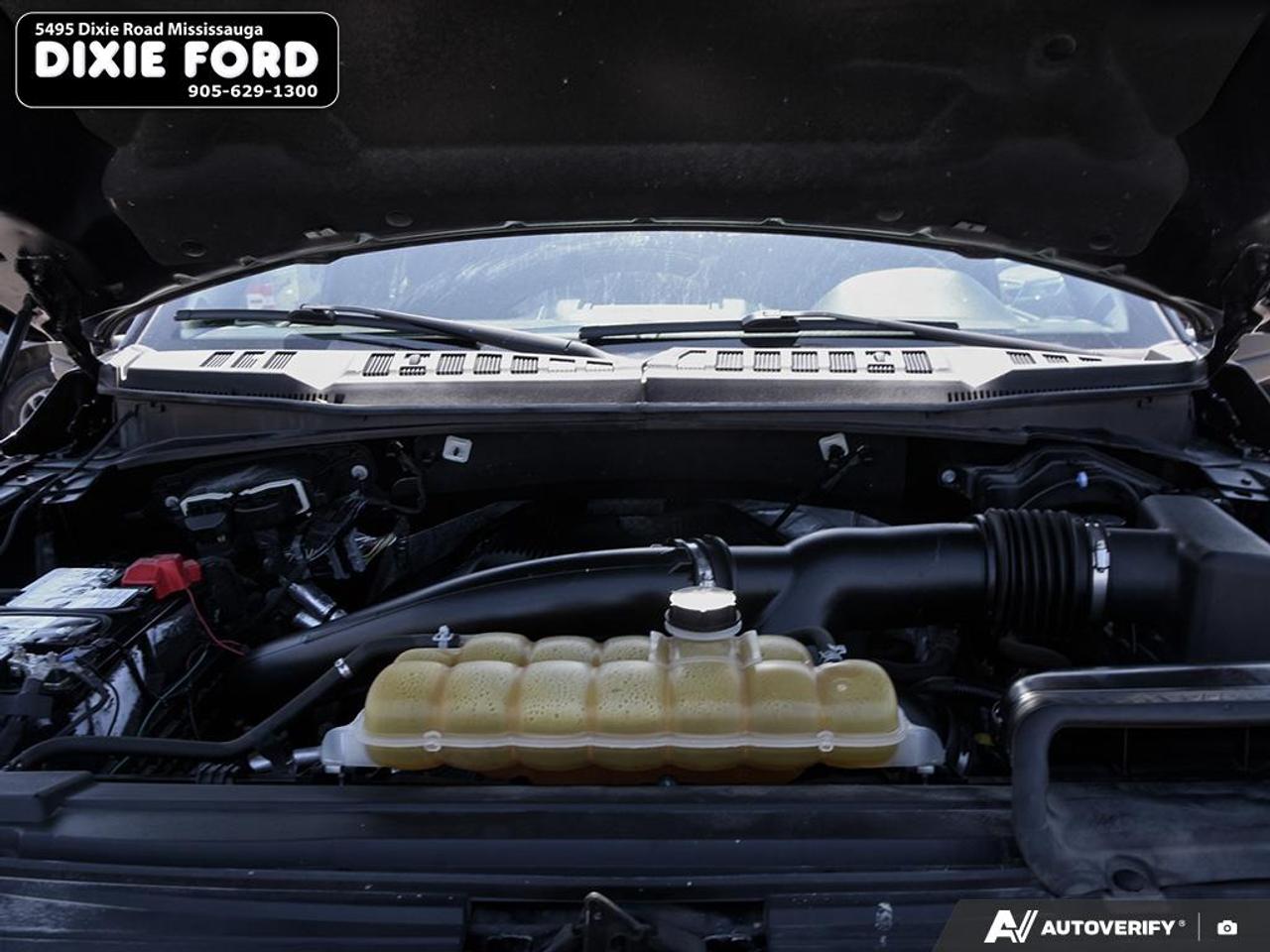 2019 Ford F-150 XLT Photo
