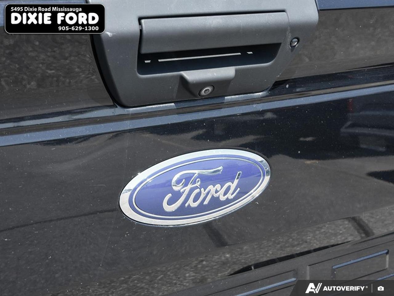 2019 Ford F-150 XLT Photo