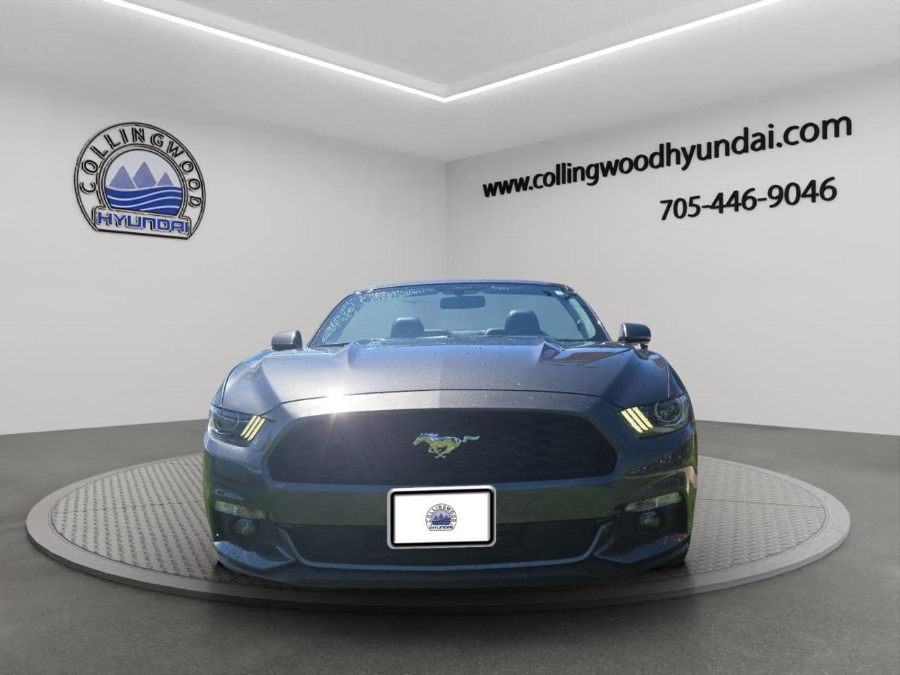 2017 Ford Mustang EcoBoost Premium Convertible - Magnetic Grey

Drop the top and enjoy a true Mustang experience without the V8 fuel bill. This 2017 Mustang Premium Convertible packs Fords 2.3L EcoBoost turbo with 310 horsepower and 320 lb-ft of torque, rear-wheel drive, sharp handling, and that unmistakable Mustang look.

Finished in Magnetic Grey, this Mustang brings the perfect mix of sporty, classy, and fun. The Premium trim adds the comfort people actually want: leather-trimmed interior, upgraded tech, power convertible top, premium cabin feel, and everyday drivability.

Why buy it?/  Convertible Mustang style
  Turbocharged performance
  Premium trim comfort/  Rear-wheel-drive fun/  Great summer cruiser
  Iconic looks without crazy fuel costs

This is the kind of car you buy because driving should still be fun. Drop the roof, hit the road, and enjoy every kilometre.<p>2017 Ford Mustang EcoBoost Premium Convertible - Magnetic Grey

Drop the top and enjoy a true Mustang experience without the V8 fuel bill. This 2017 Mustang Premium Convertible packs Fords 2.3L EcoBoost turbo with 310 horsepower and 320 lb-ft of torque</p>
<p> and everyday drivability.

Why buy it?/  Convertible Mustang style
  Turbocharged performance
  Premium trim comfort/  Rear-wheel-drive fun/  Great summer cruiser
  Iconic looks without crazy fuel costs

This is the kind of car you buy because driving should still be fun. Drop the roof</p>