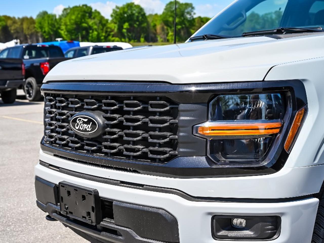 2026 Ford F-150 STX Photo