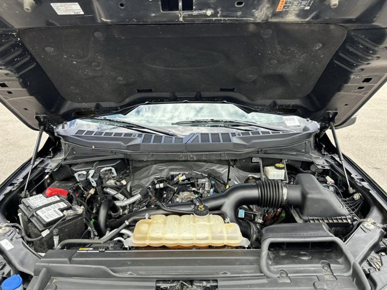 2022 Ford F-150 XLT SuperCrew 4WD | One Owner | No Accidents Photo