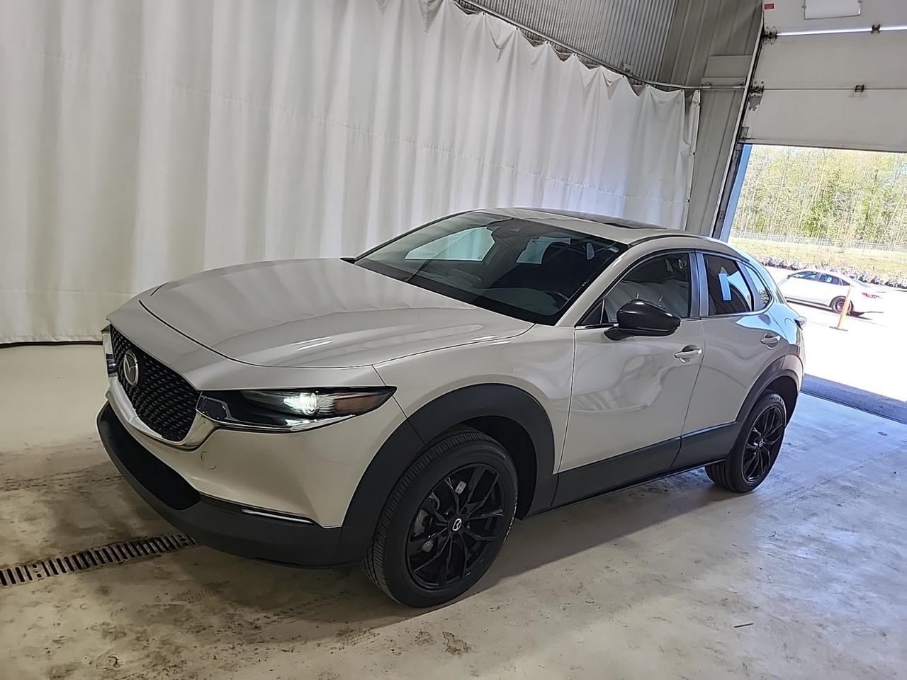 2022 Mazda CX-30 GS | AWD | LTHR | ROOF | NO ACCIDENTS | MAZDA SERVICED Photo