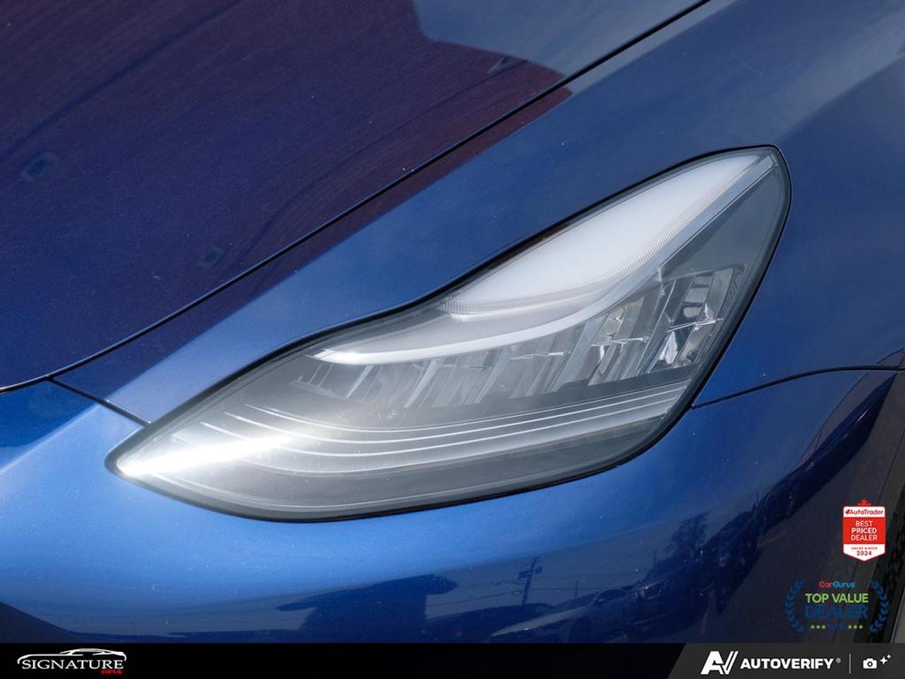 2021 Tesla Model Y Performance No Accidents White Interior Dual Motor Photo