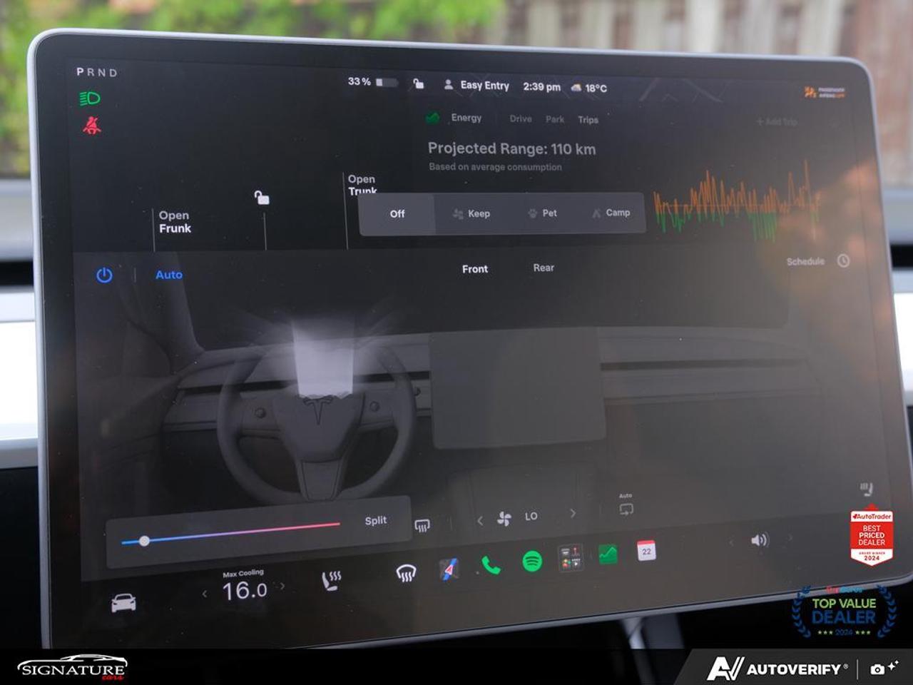 2021 Tesla Model Y Performance No Accidents White Interior Dual Motor Photo