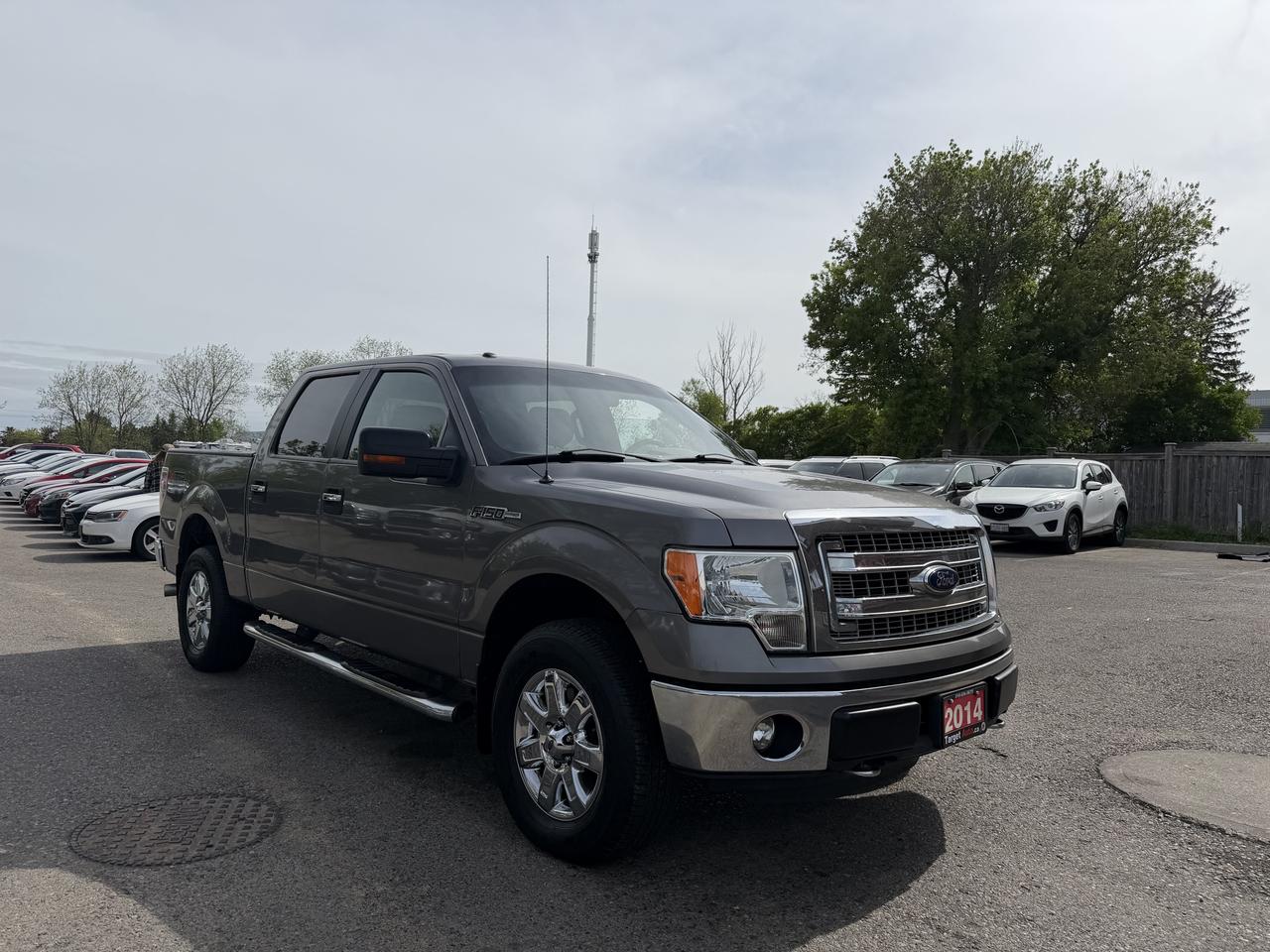 2014 Ford F-150 XTR | 5.0L V8 | Clean CARFAX Photo