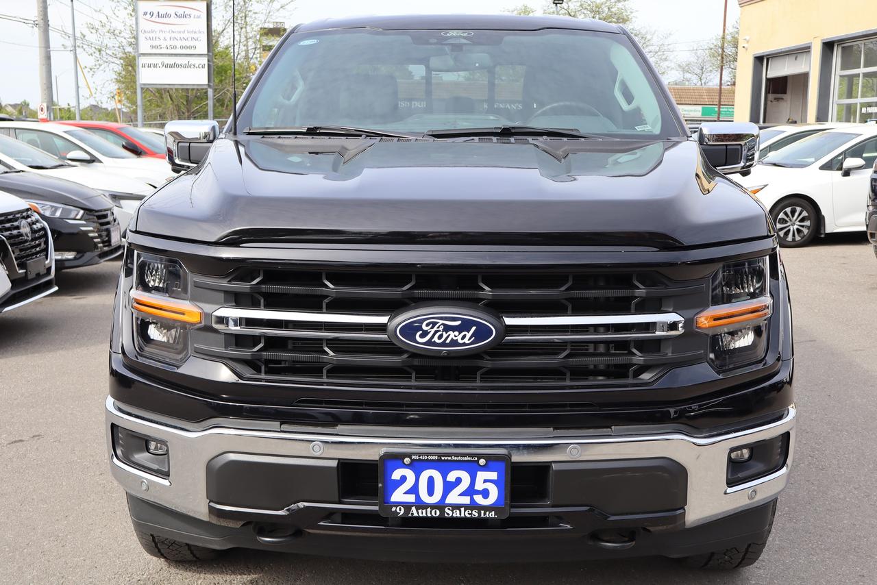2025 Ford F-150 XLT Photo