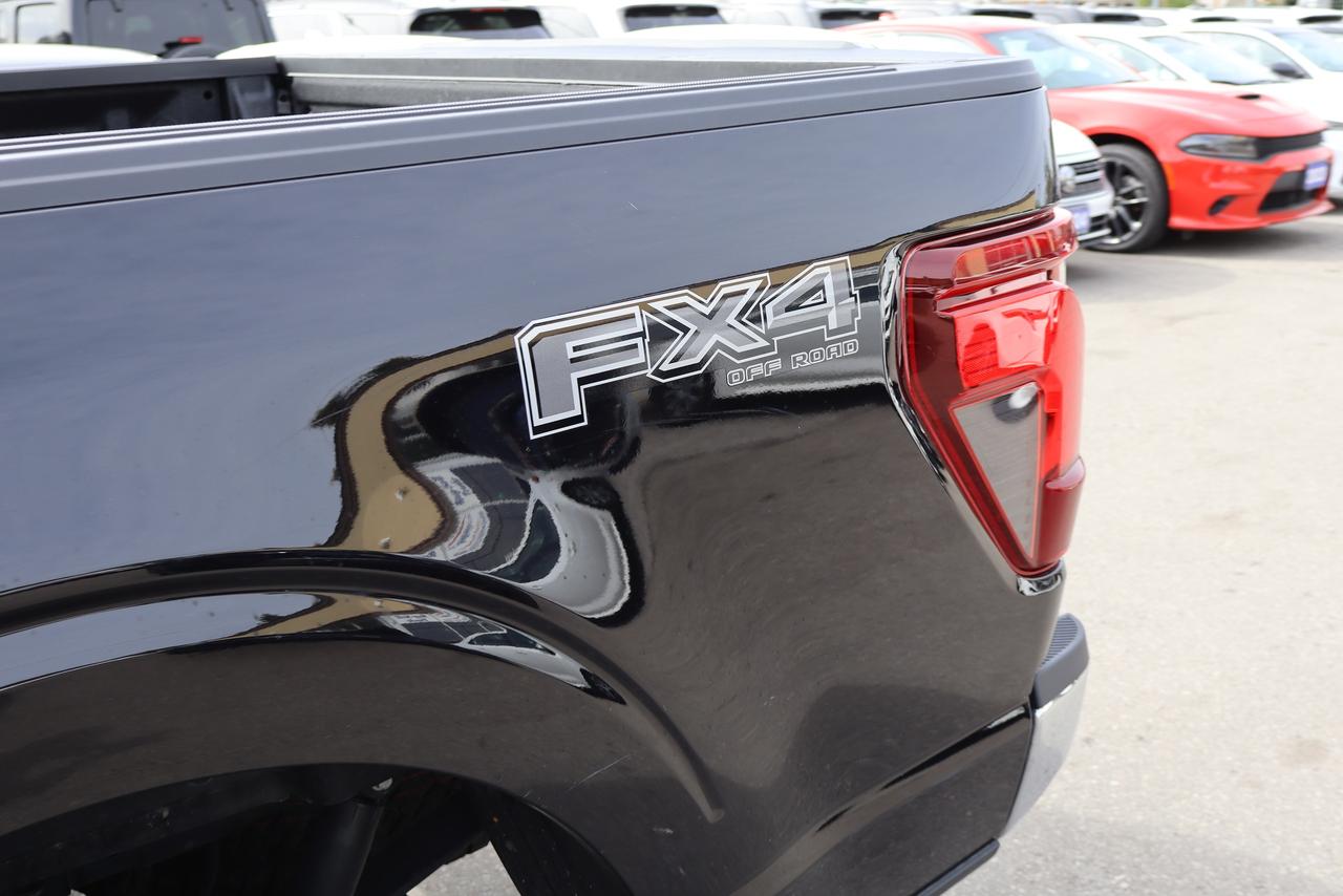 2025 Ford F-150 XLT Photo
