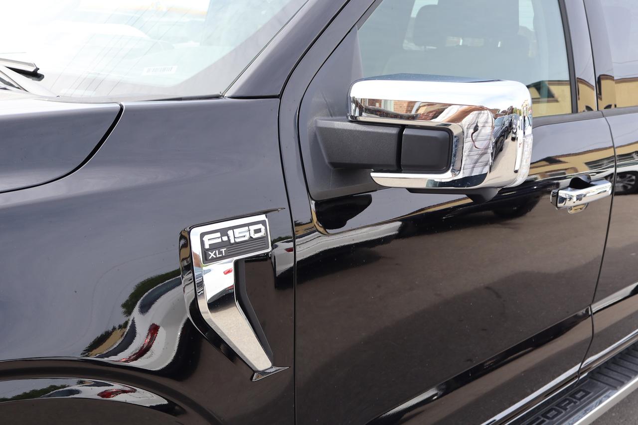 2025 Ford F-150 XLT Photo