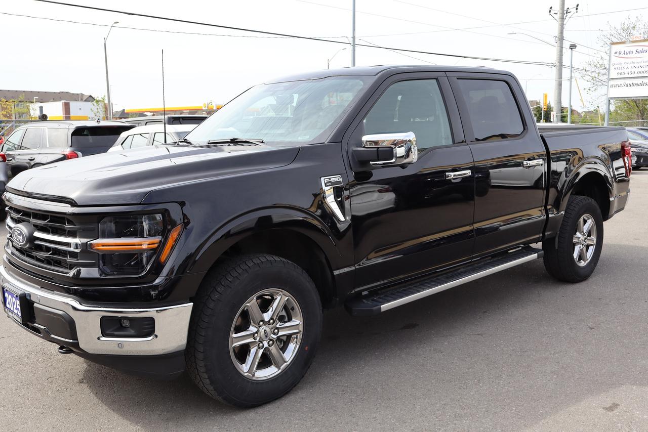 2025 Ford F-150 XLT Photo