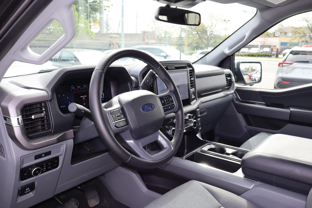 2025 Ford F-150 XLT Photo