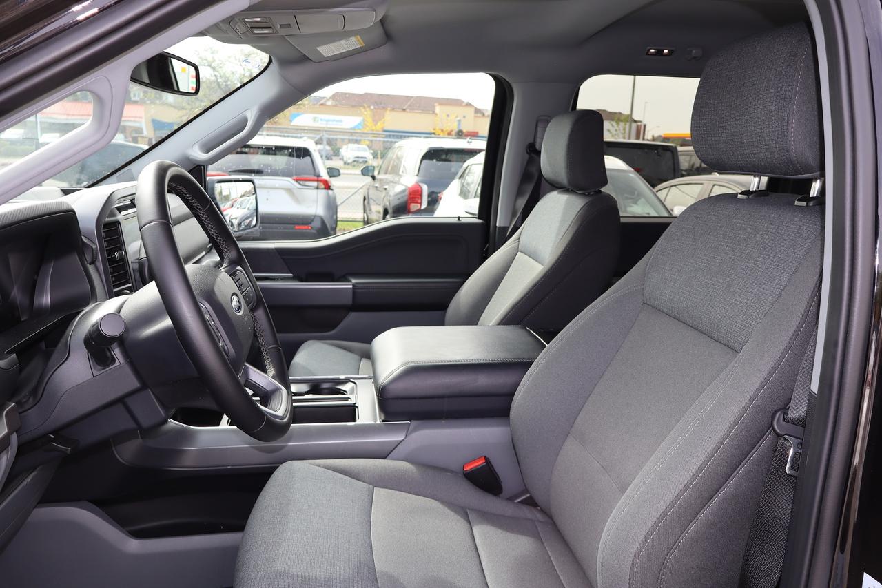 2025 Ford F-150 XLT Photo