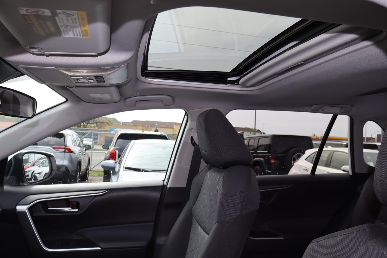 2025 Toyota RAV4 XLE AWD Photo