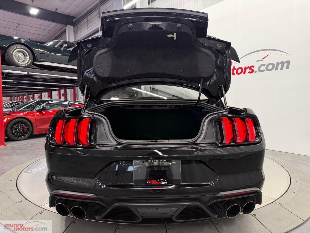 2021 Ford Mustang Shelby GT500 Fastback Photo