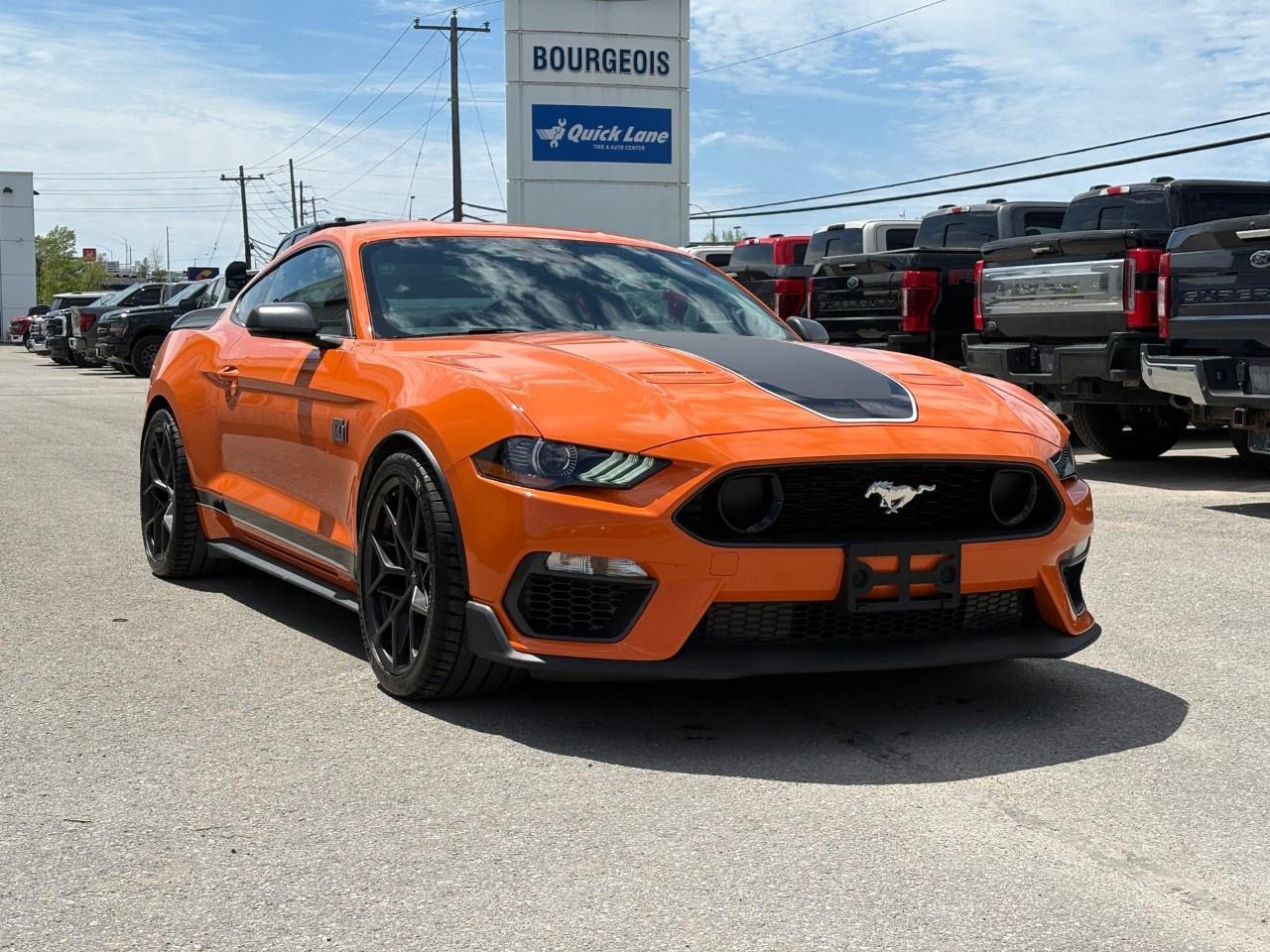 2021 Ford Mustang MACH 1 FASTBACK Photo3
