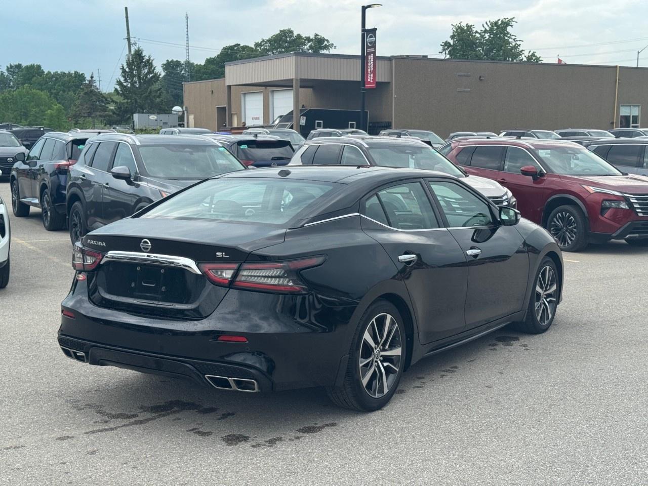 2019 Nissan Maxima  Photo2