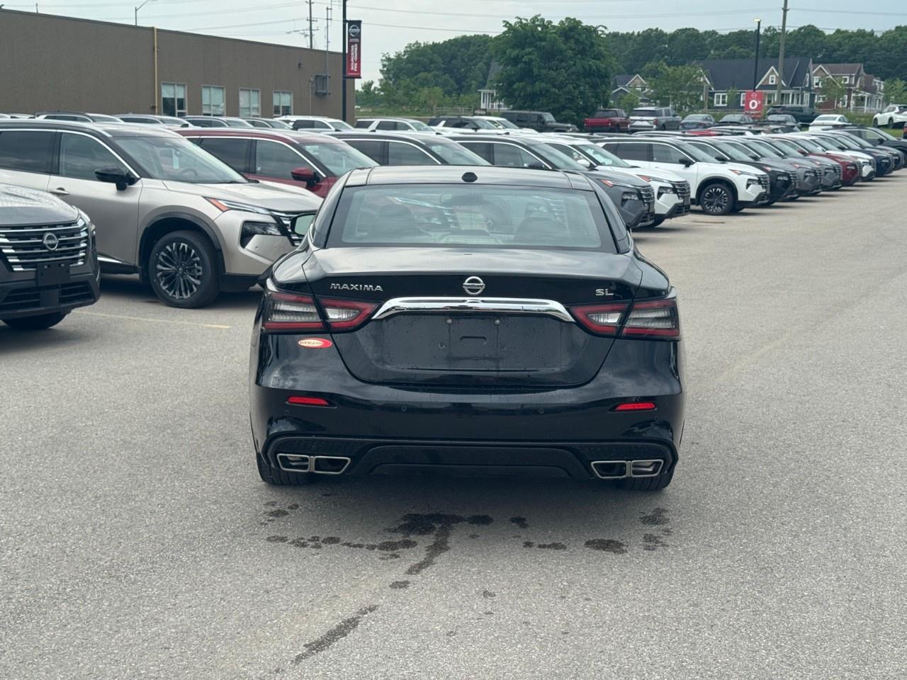 2019 Nissan Maxima  Photo
