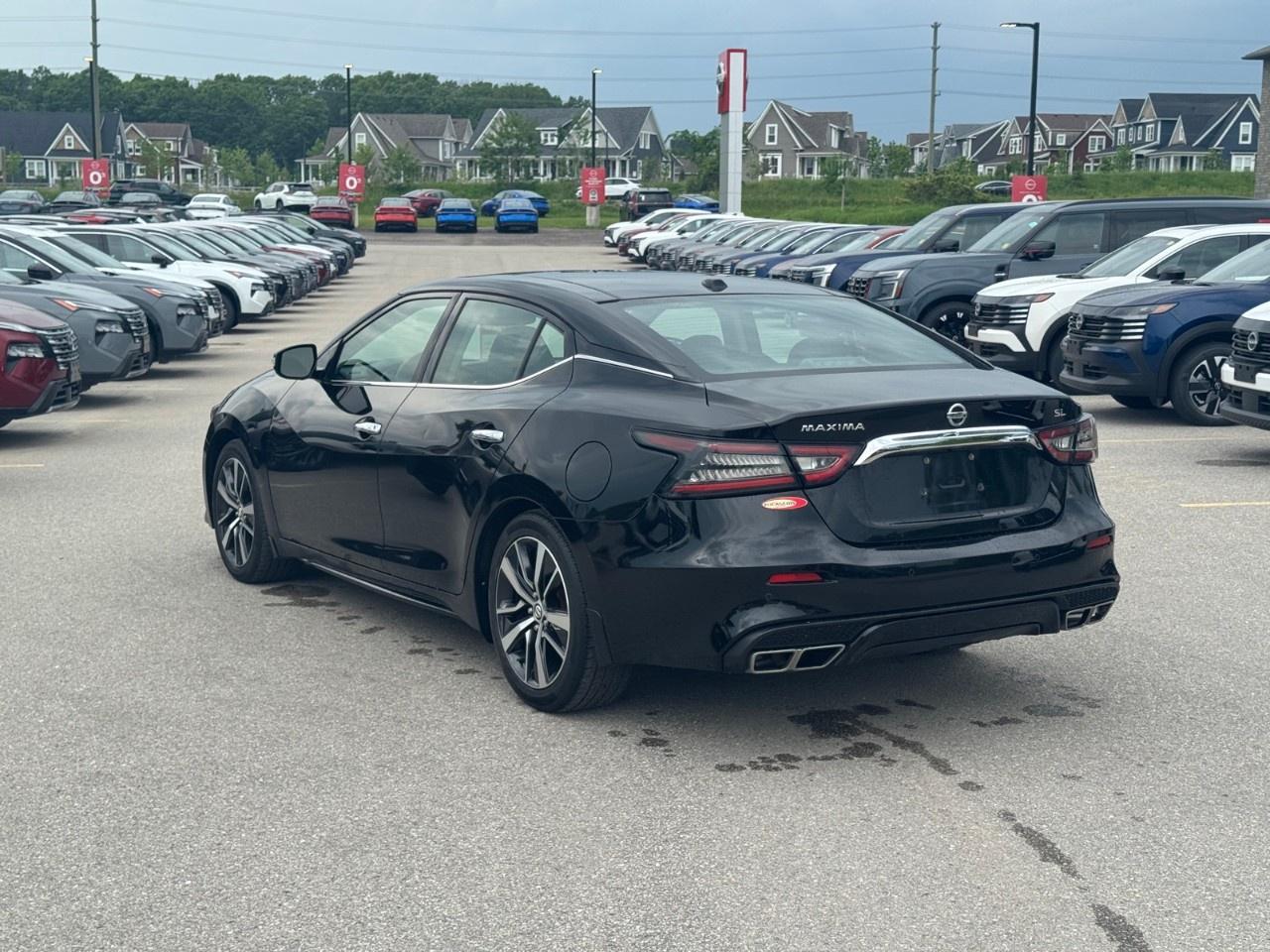 2019 Nissan Maxima  Photo4