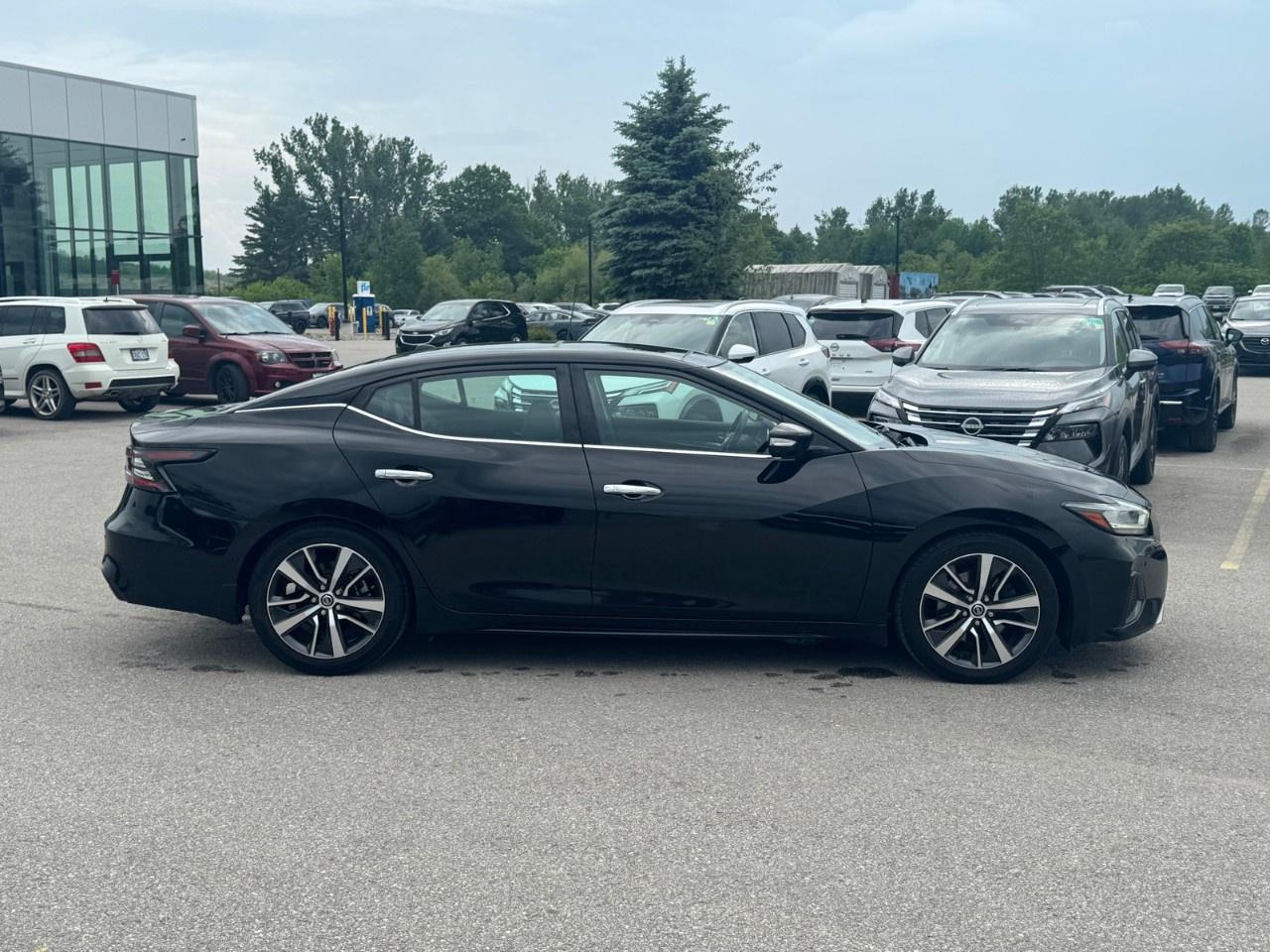 2019 Nissan Maxima  Photo