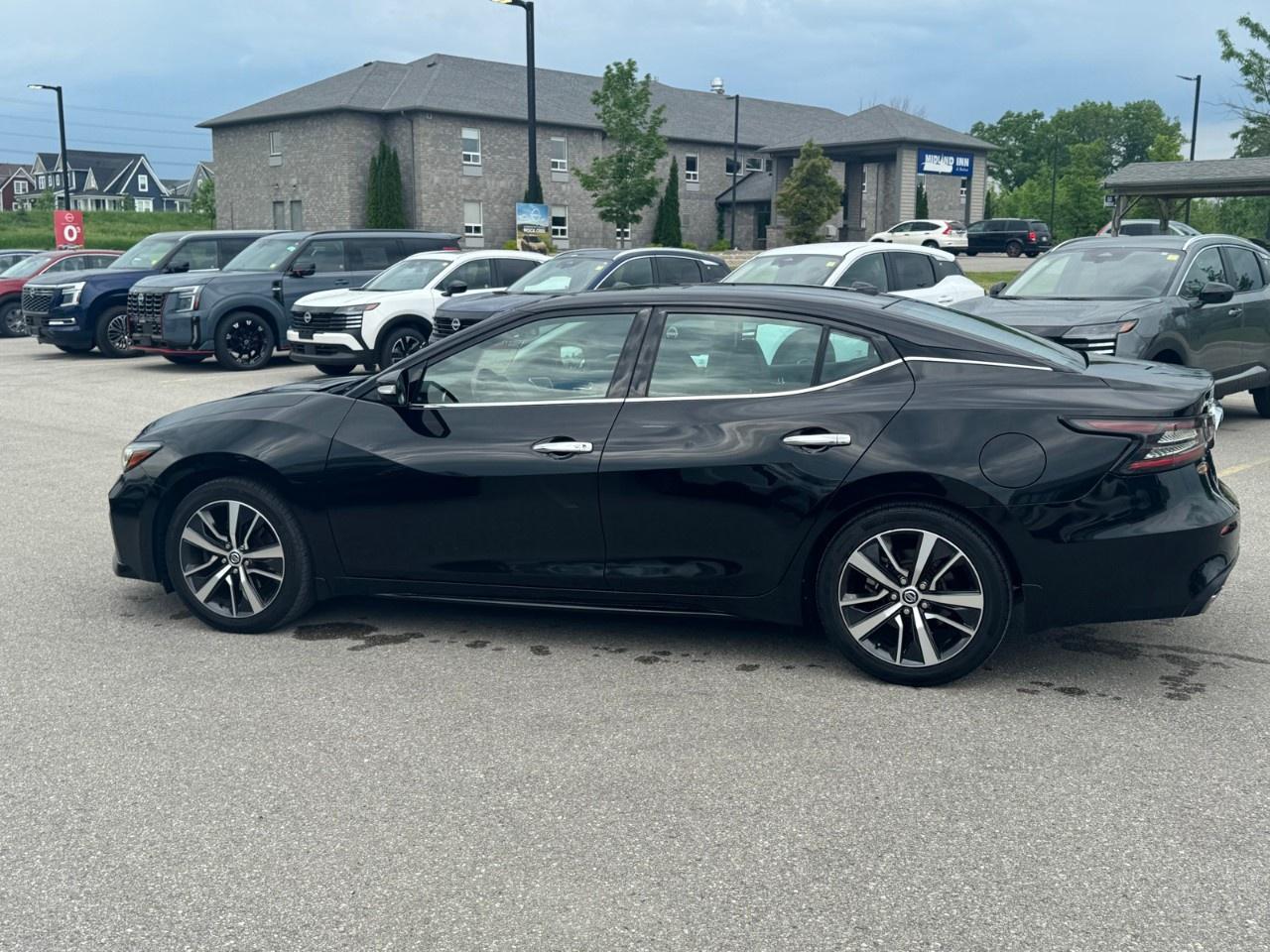 2019 Nissan Maxima  Photo