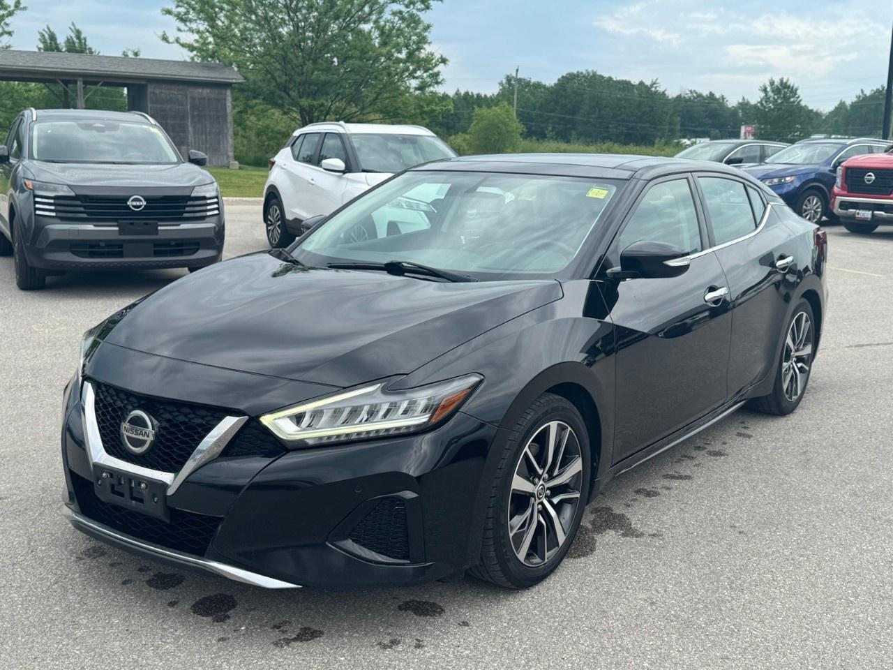 2019 Nissan Maxima  Photo
