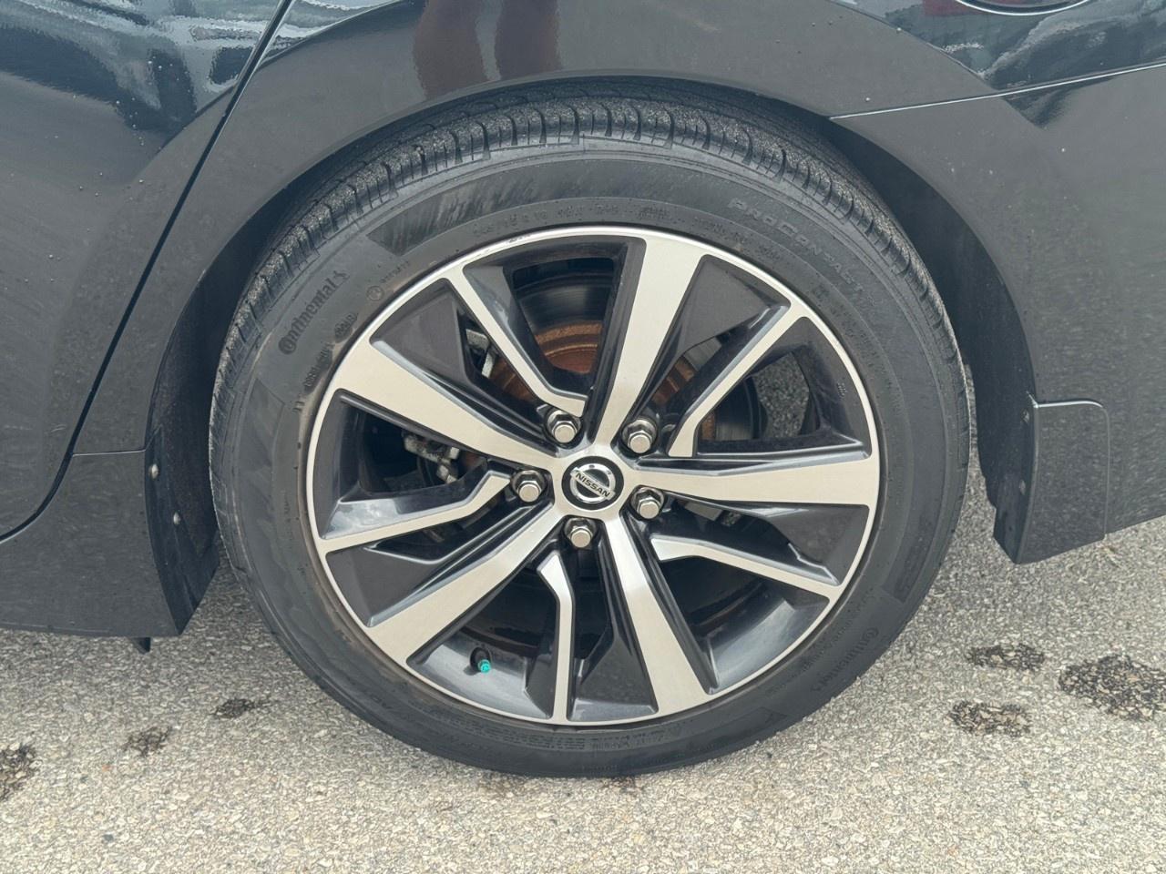 2019 Nissan Maxima  Photo