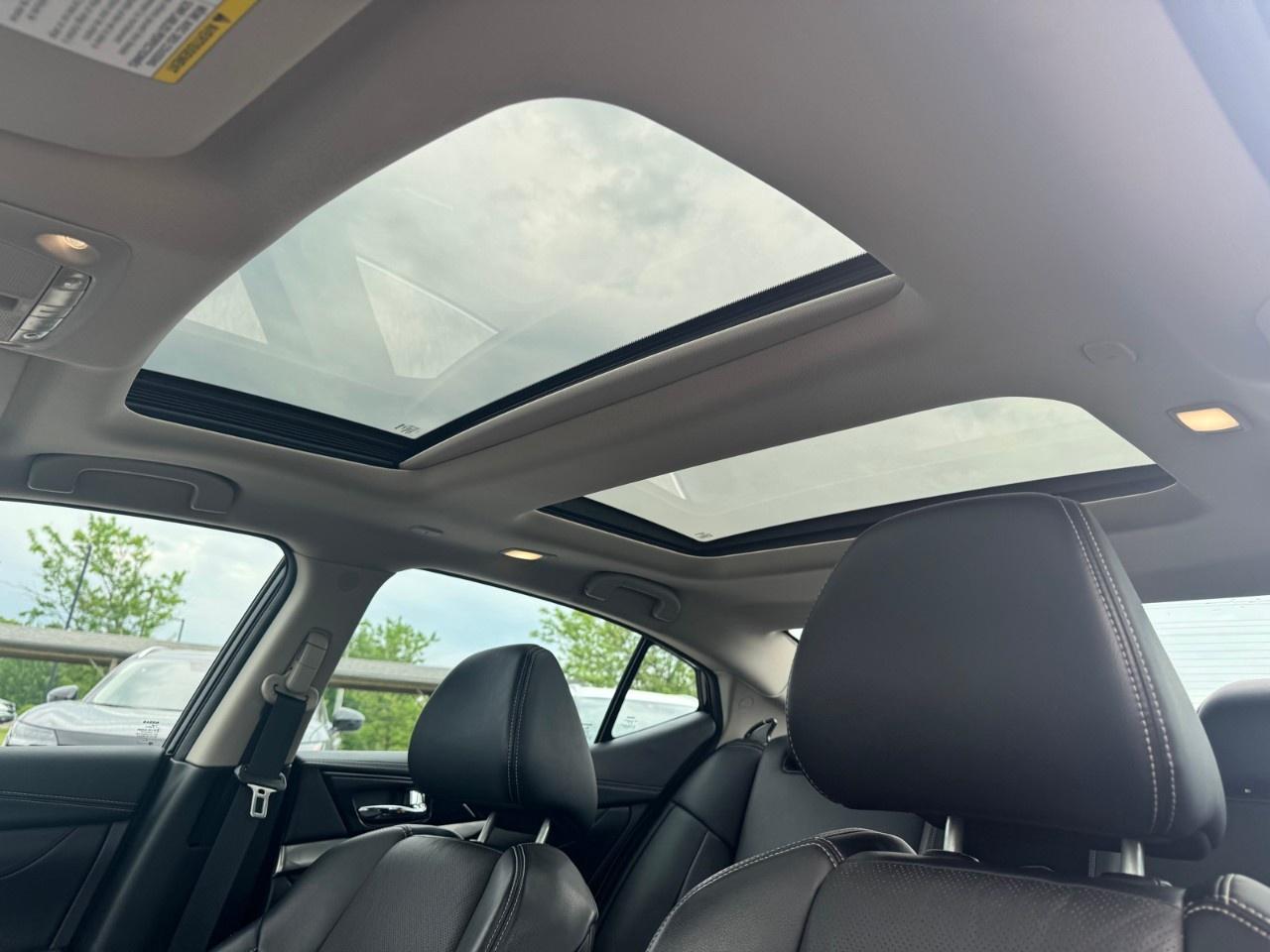 2019 Nissan Maxima  Photo