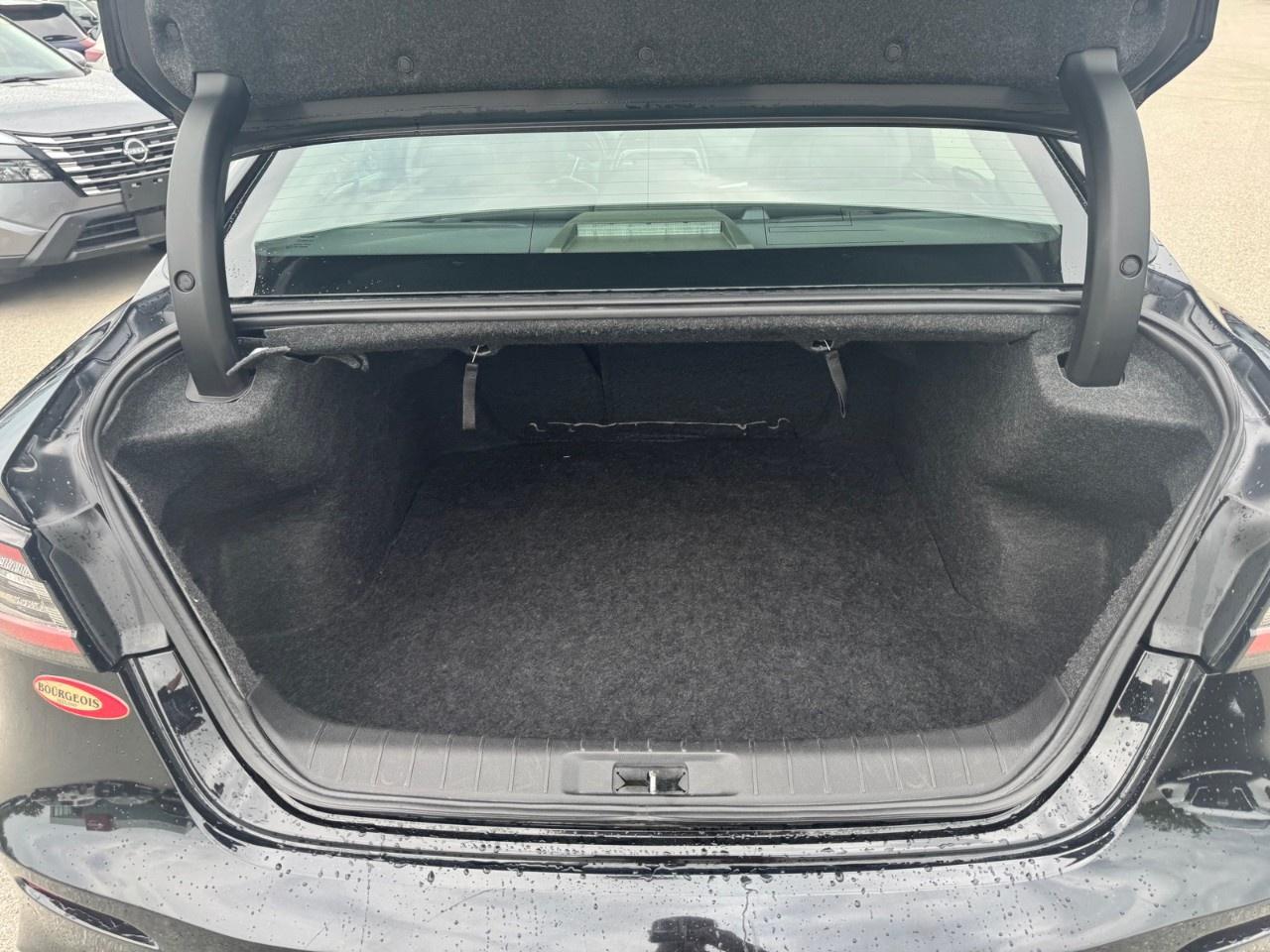 2019 Nissan Maxima  Photo