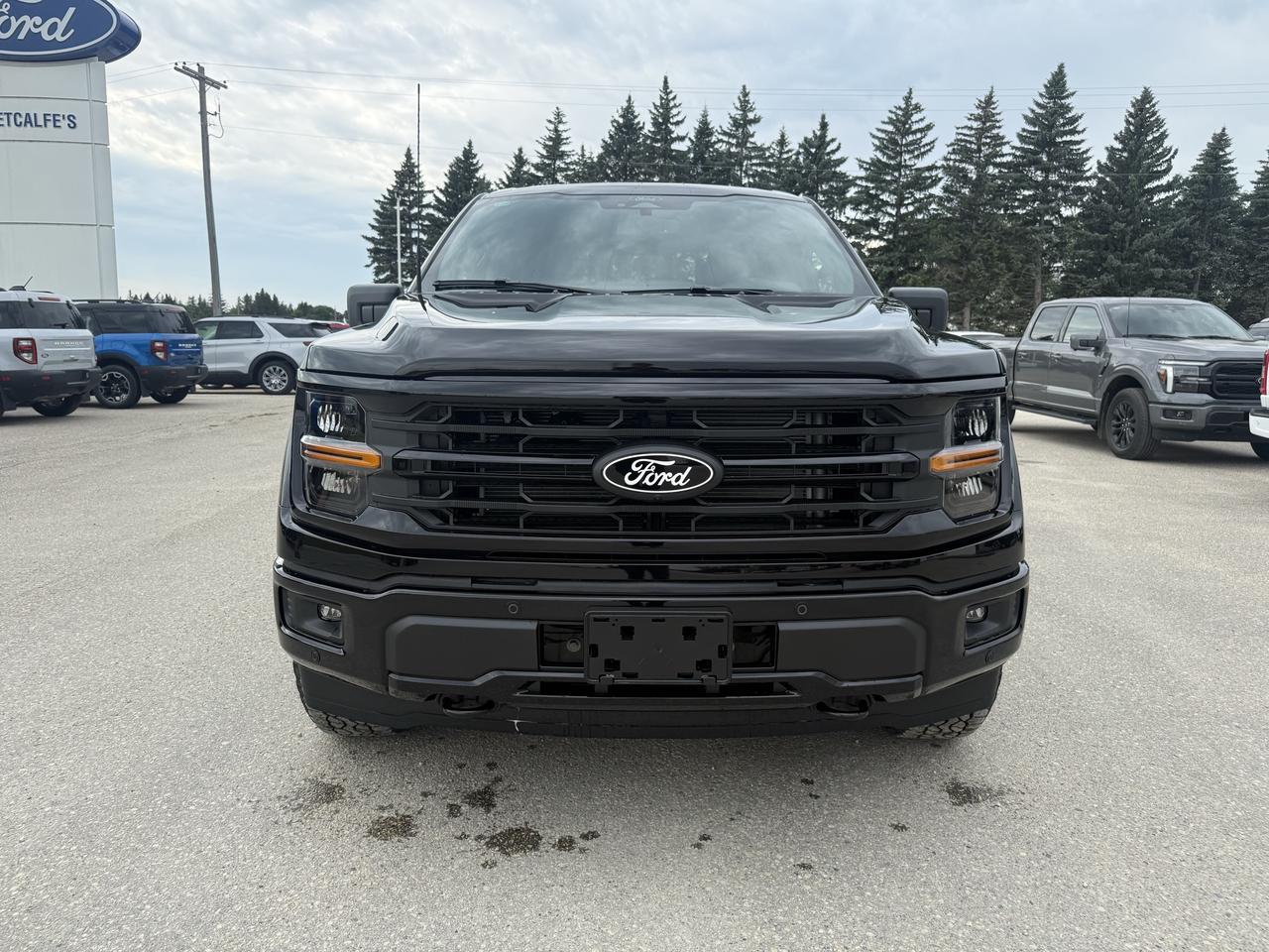 2026 Ford F-150 XLT 4WD SuperCrew 6.5' Box Photo2
