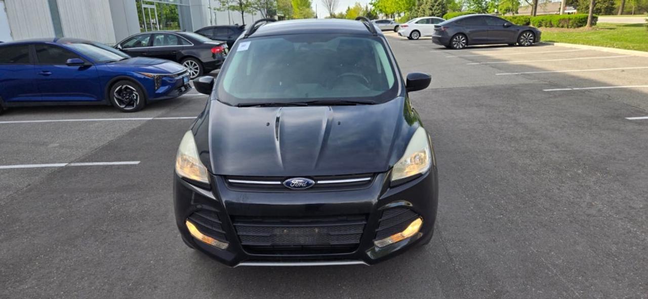 2014 Ford Escape SE 4dr Front-wheel Drive Automatic Photo