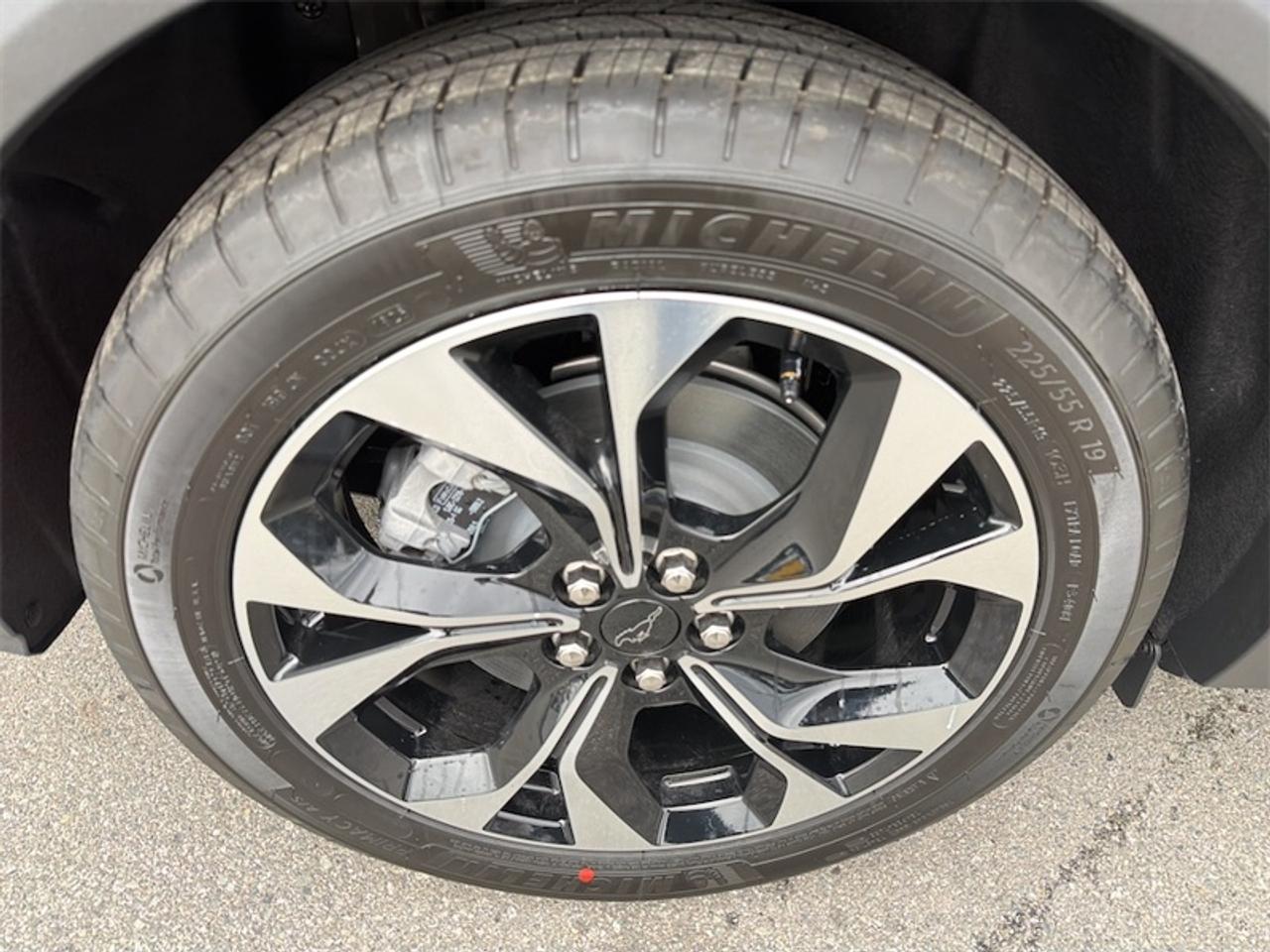 Image 14