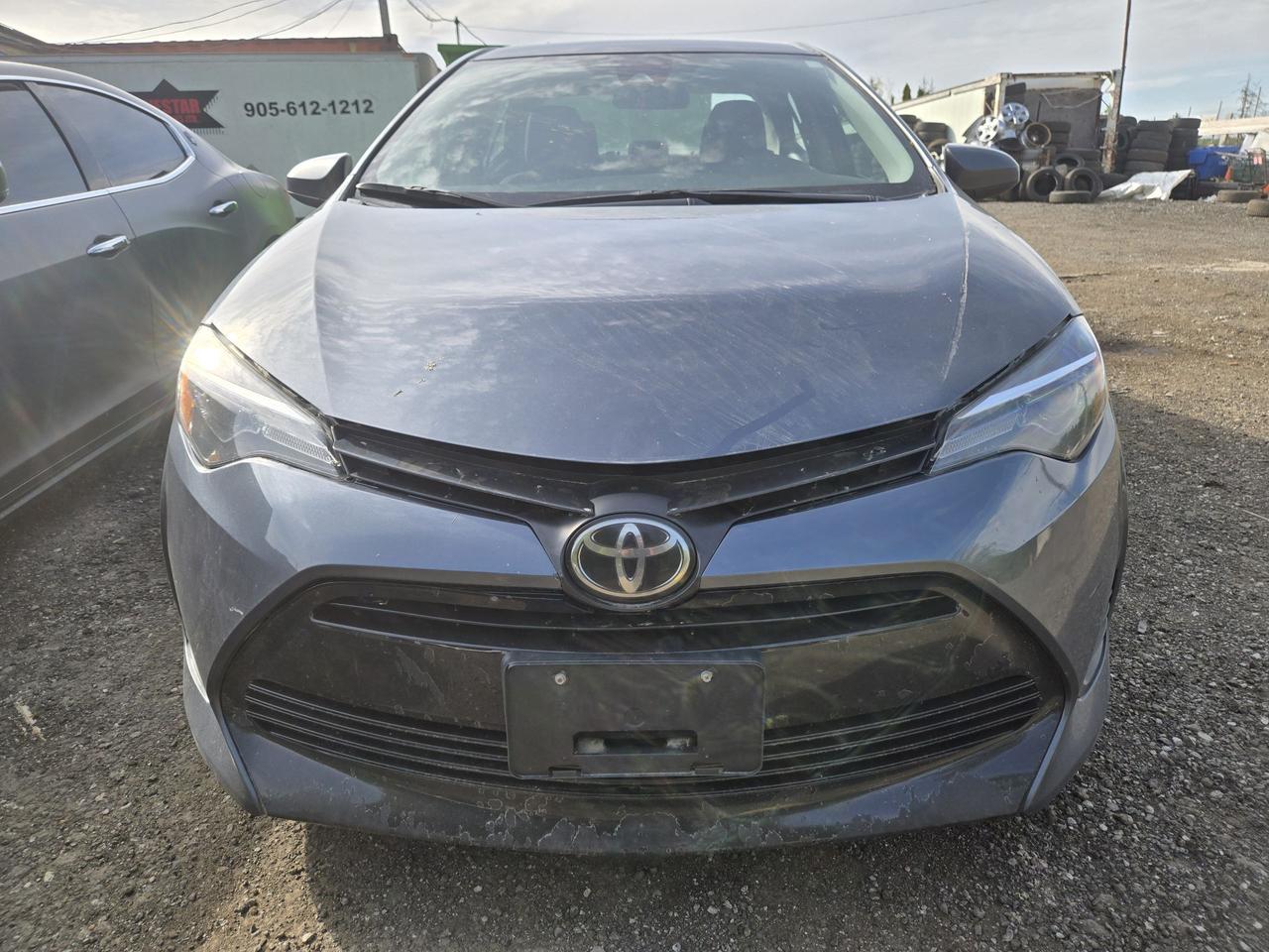 2019 Toyota Corolla LE Photo