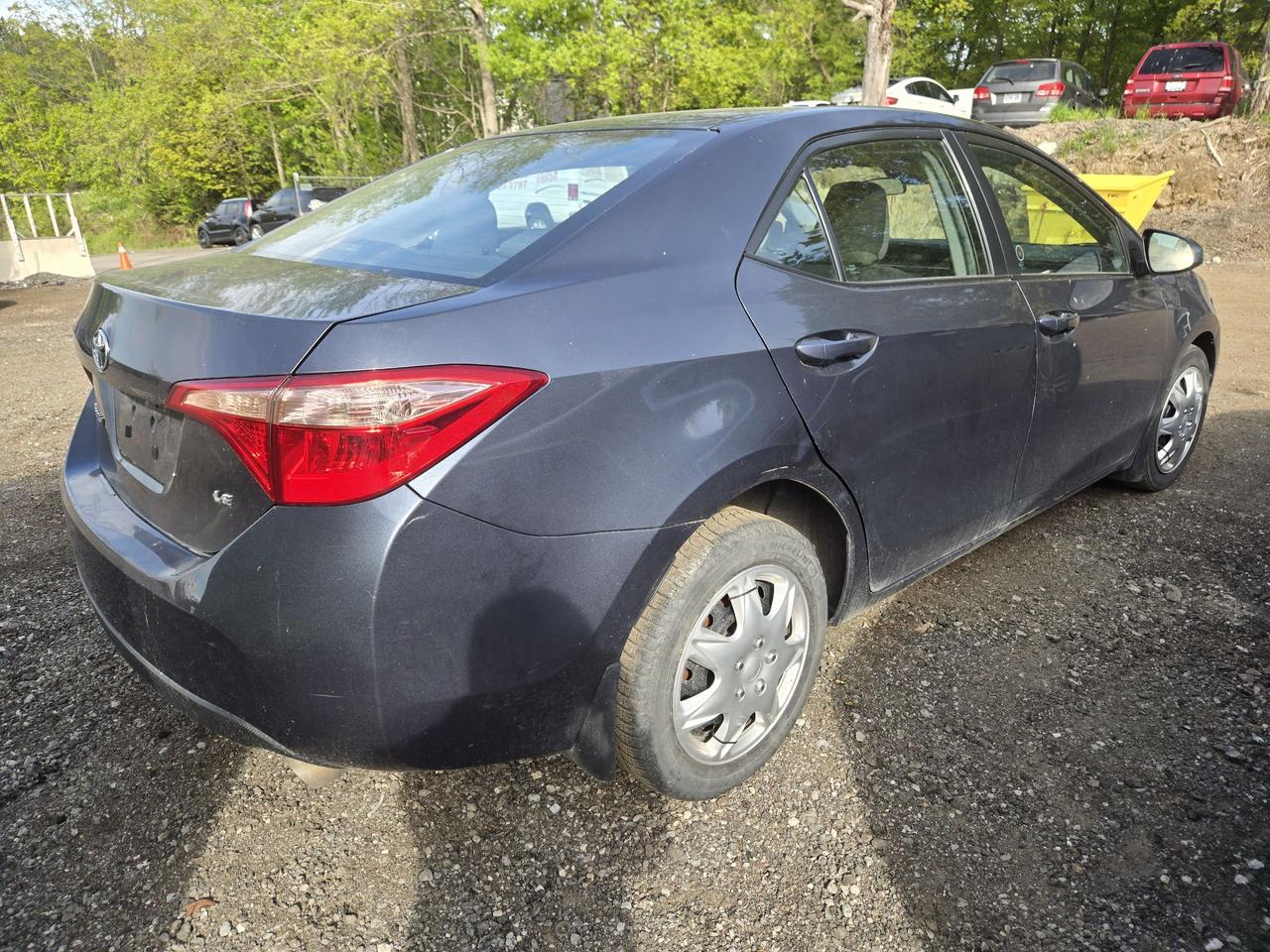 2019 Toyota Corolla LE Photo