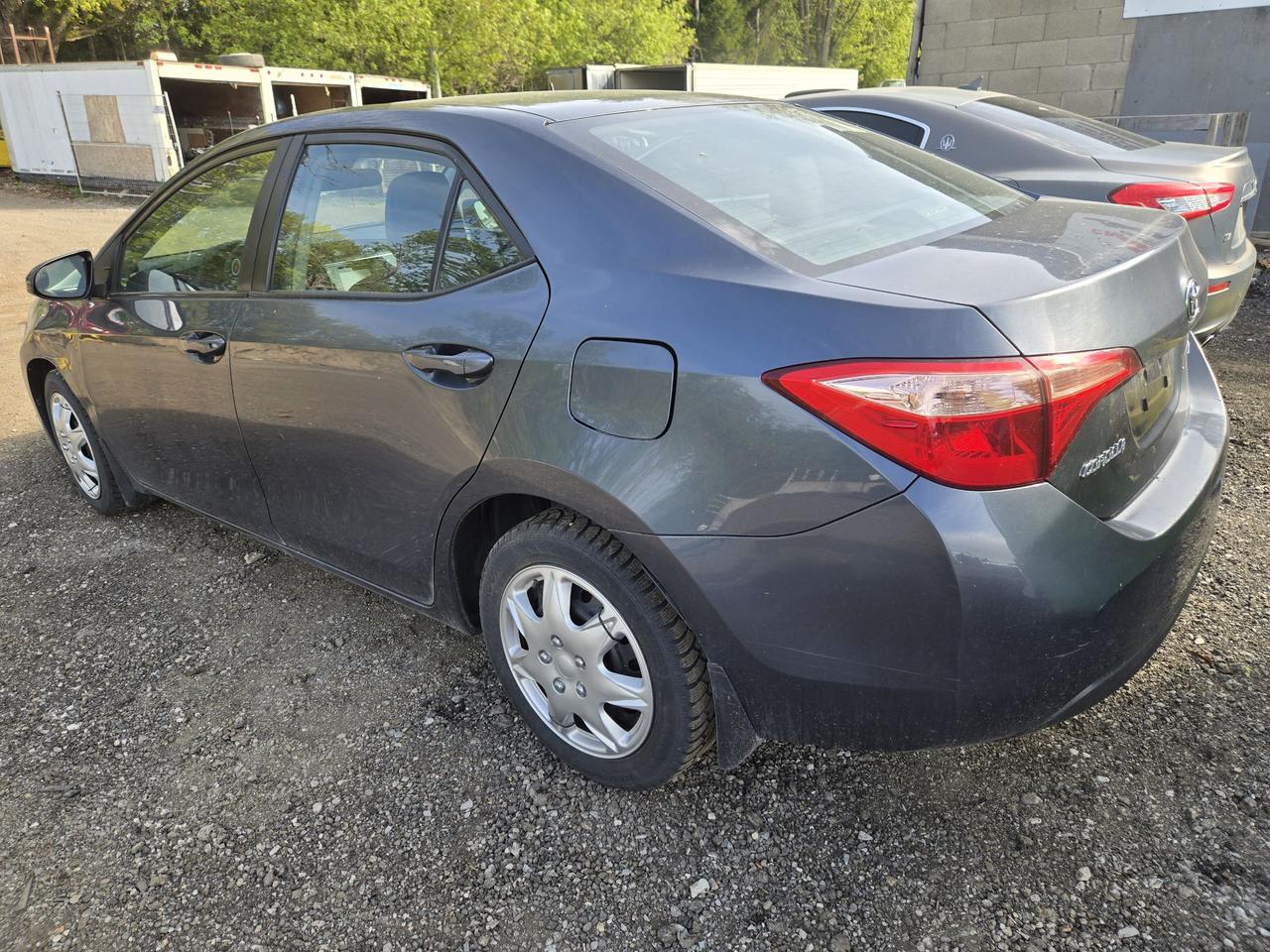 2019 Toyota Corolla LE Photo