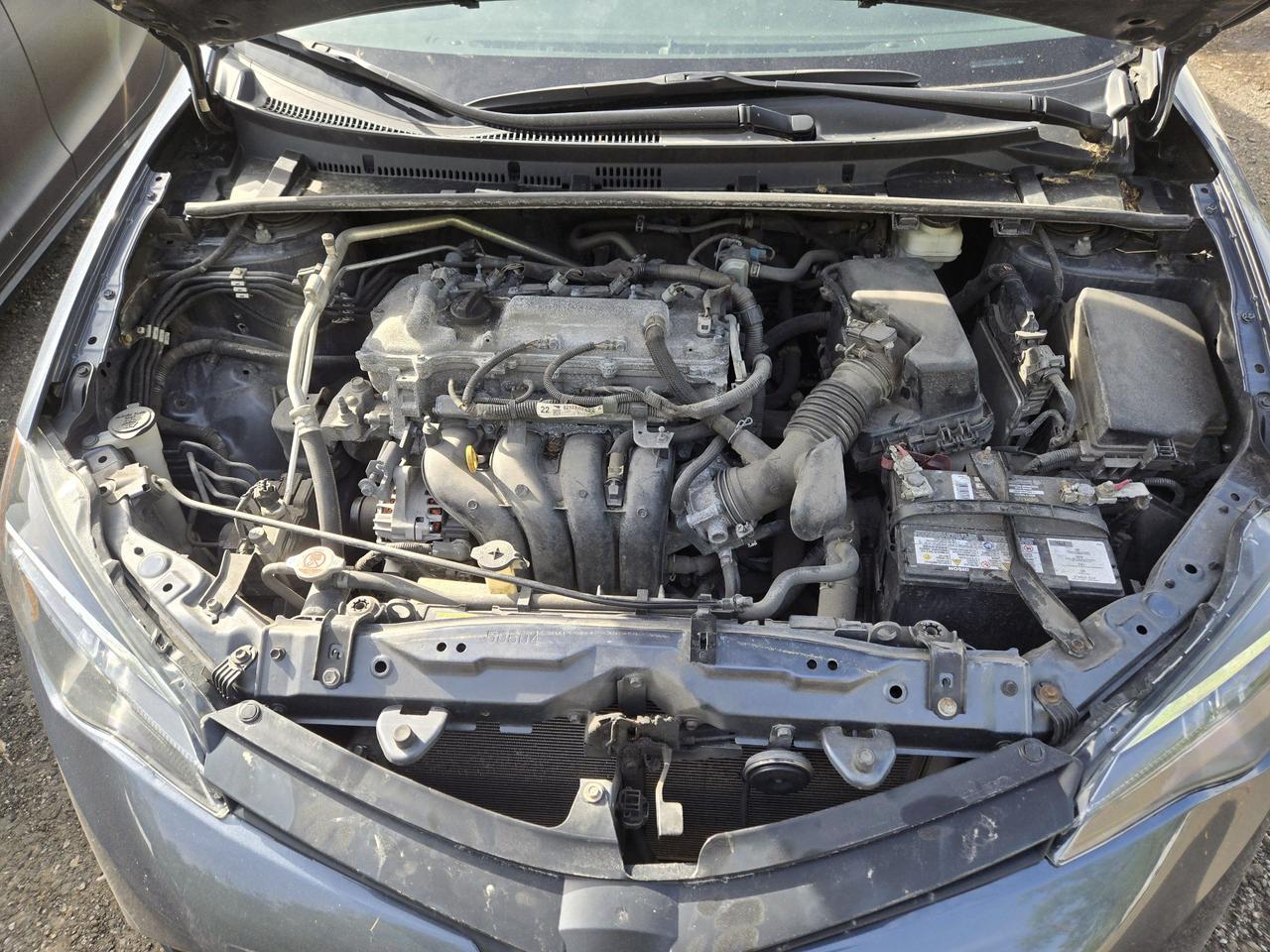 2019 Toyota Corolla LE Photo