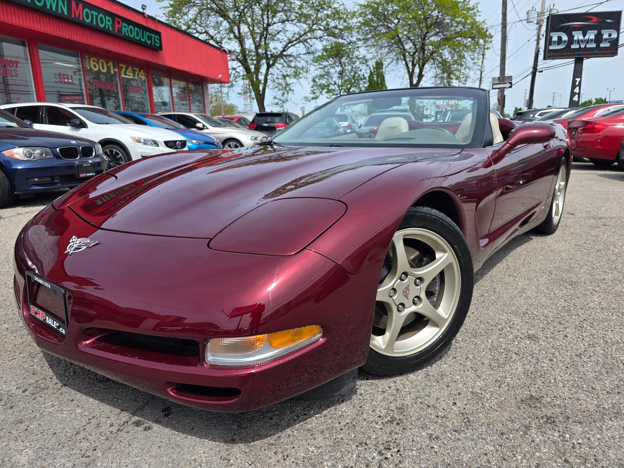 2003 Chevrolet Corvette 50th Anniversary Convertible Photo