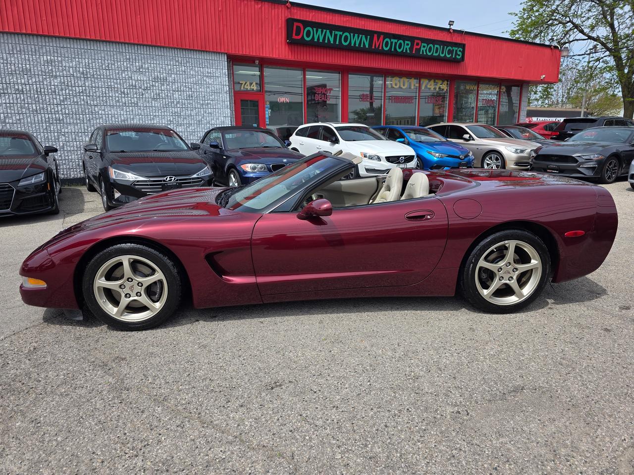 2003 Chevrolet Corvette 50th Anniversary Convertible Photo