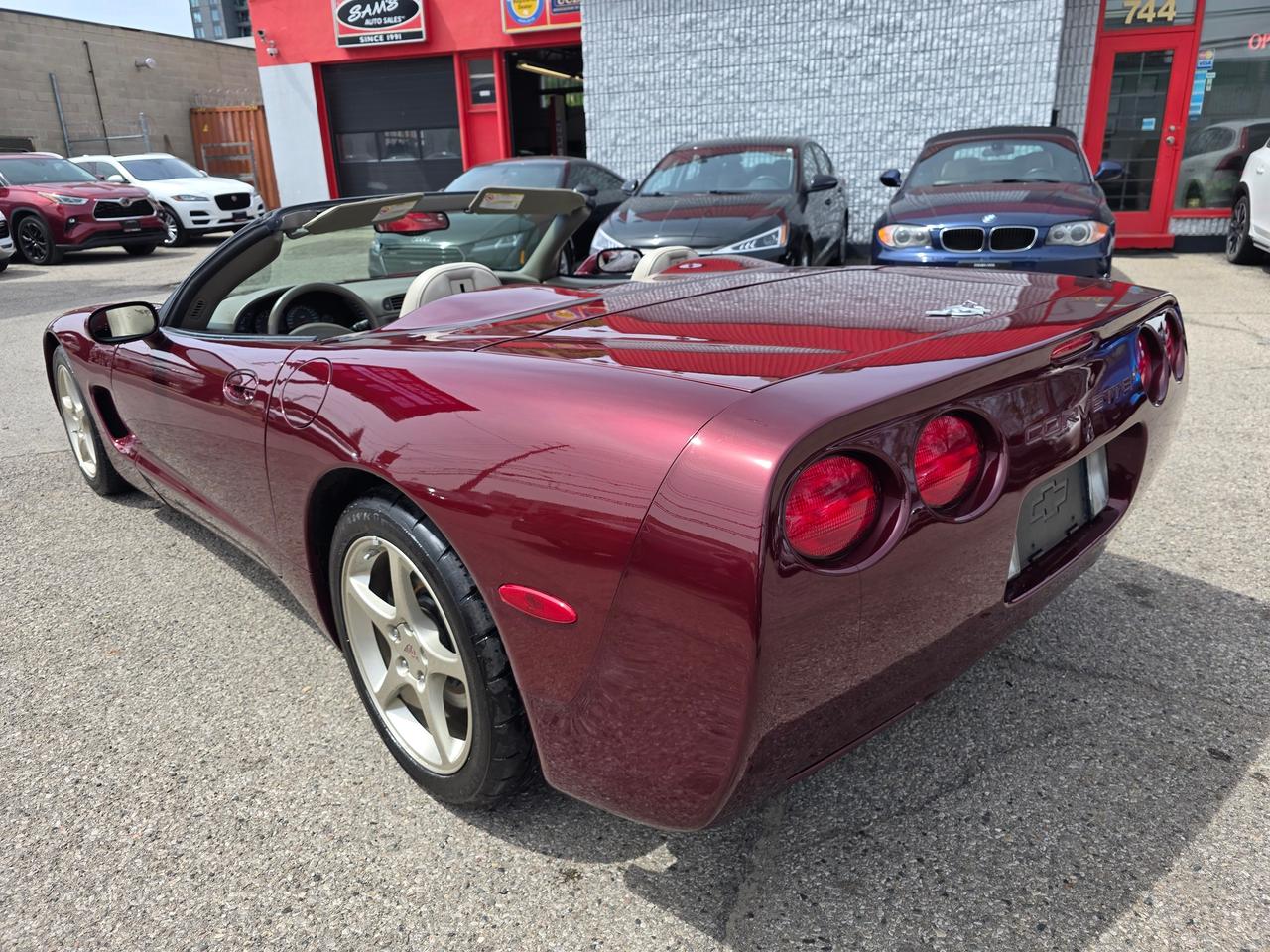 2003 Chevrolet Corvette 50th Anniversary Convertible Photo