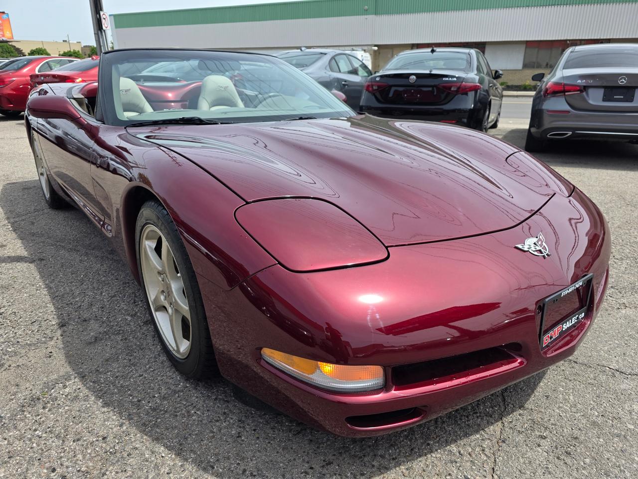 2003 Chevrolet Corvette 50th Anniversary Convertible Photo