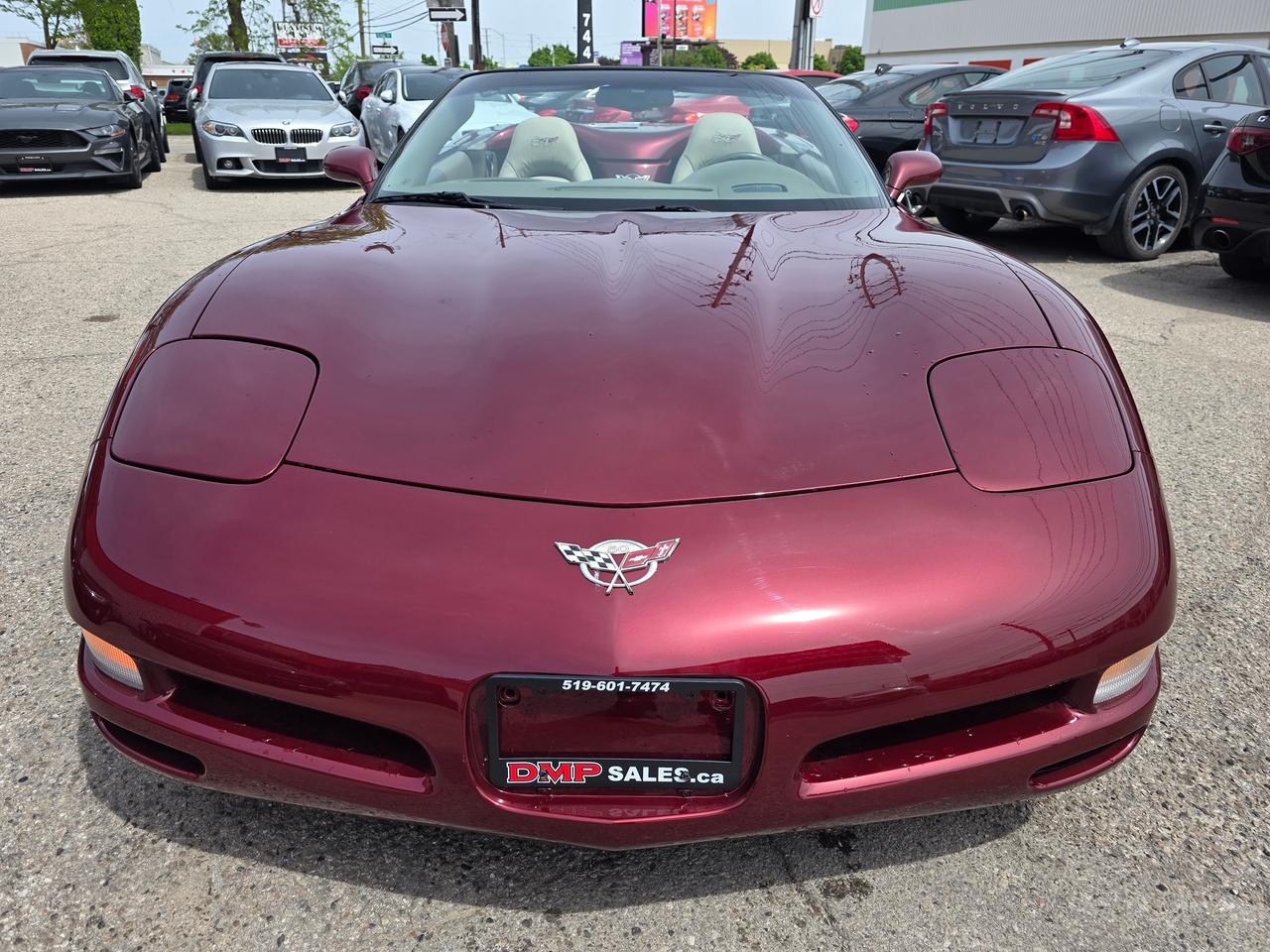 2003 Chevrolet Corvette 50th Anniversary Convertible Photo