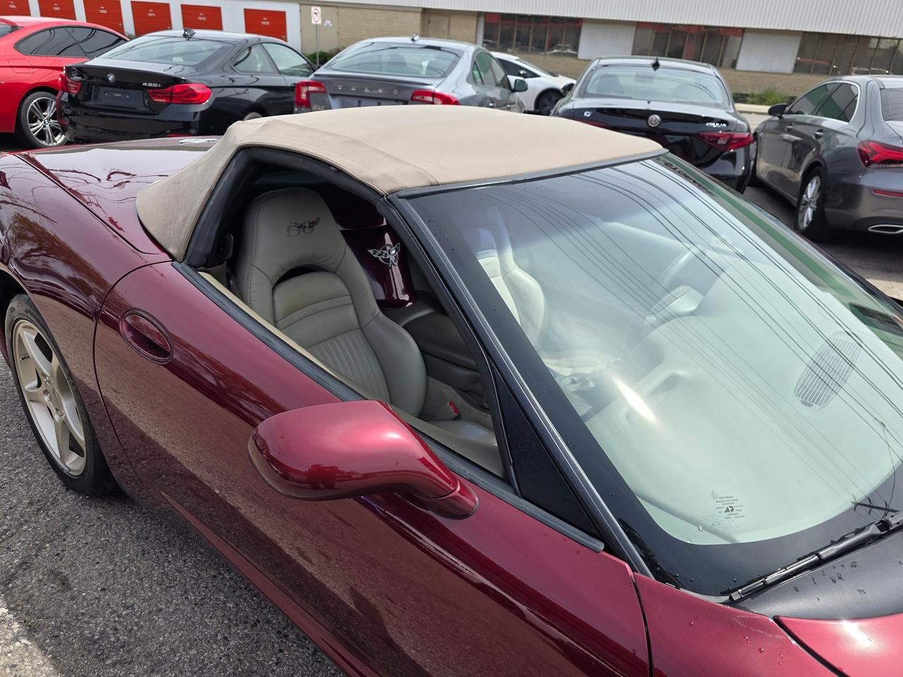 2003 Chevrolet Corvette 50th Anniversary Convertible Photo