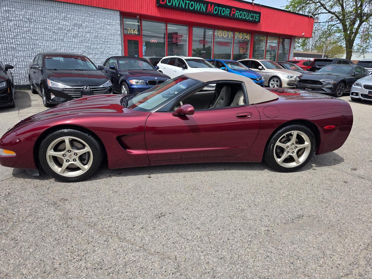 2003 Chevrolet Corvette 50th Anniversary Convertible Photo
