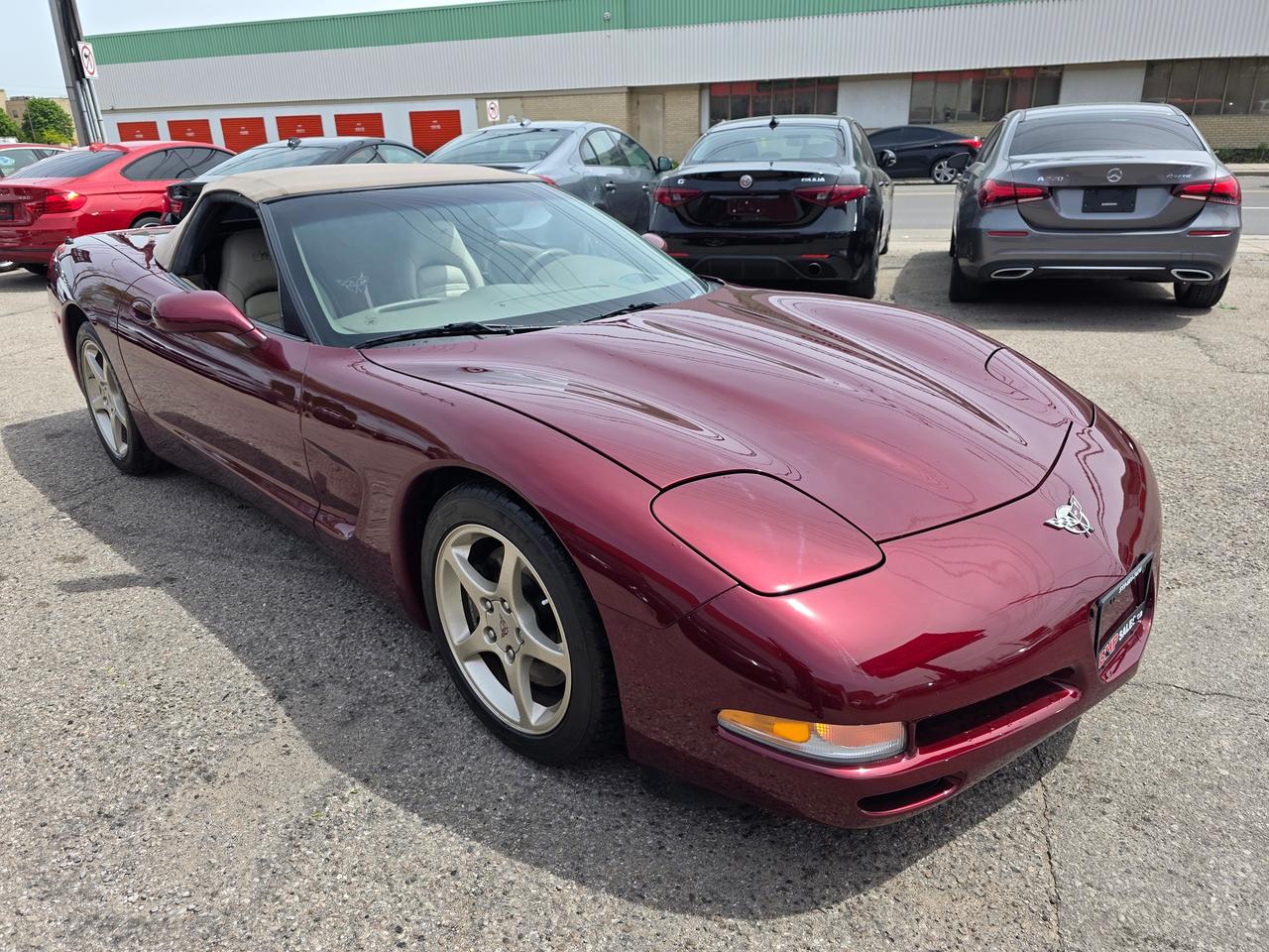 2003 Chevrolet Corvette 50th Anniversary Convertible Photo